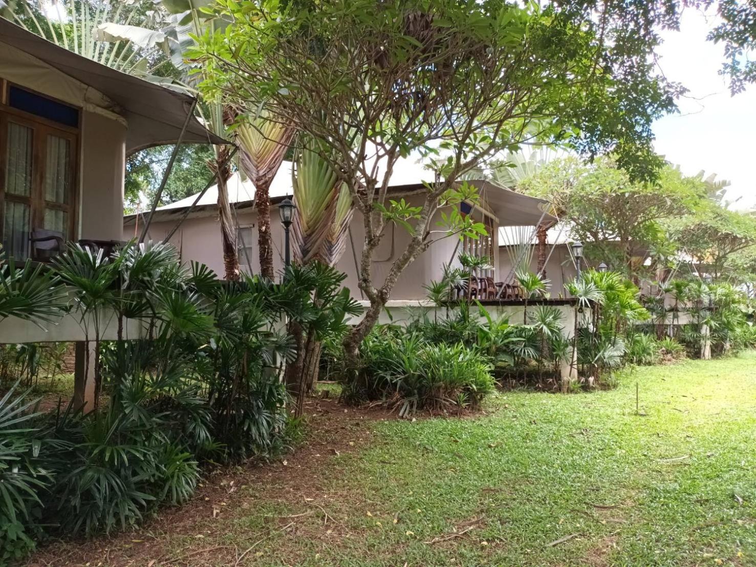 Suite Villa photo 2