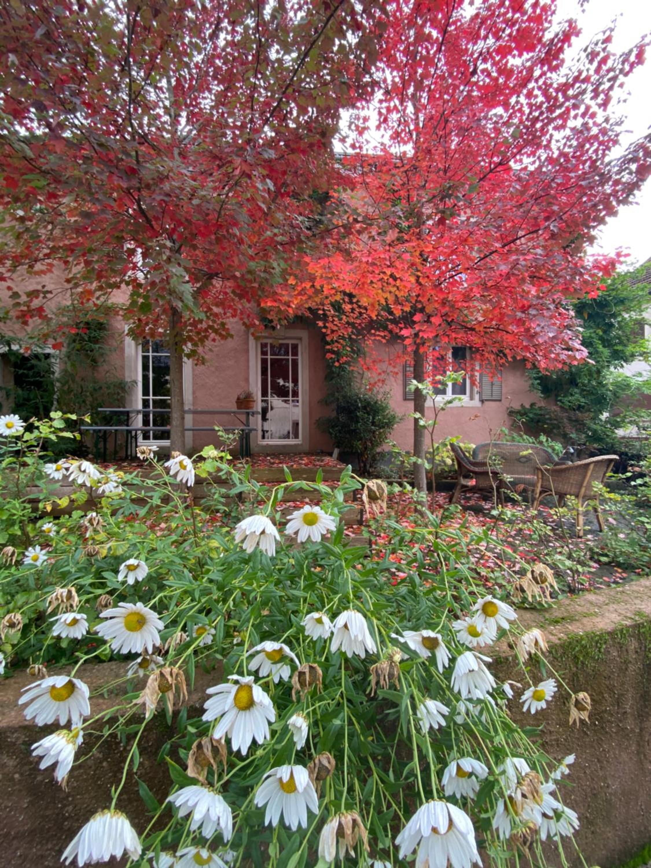 Four-Bedroom Holiday Home photo 1