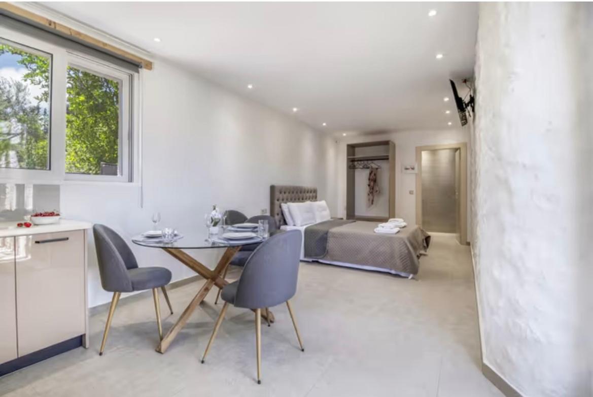 Studio With Garden View