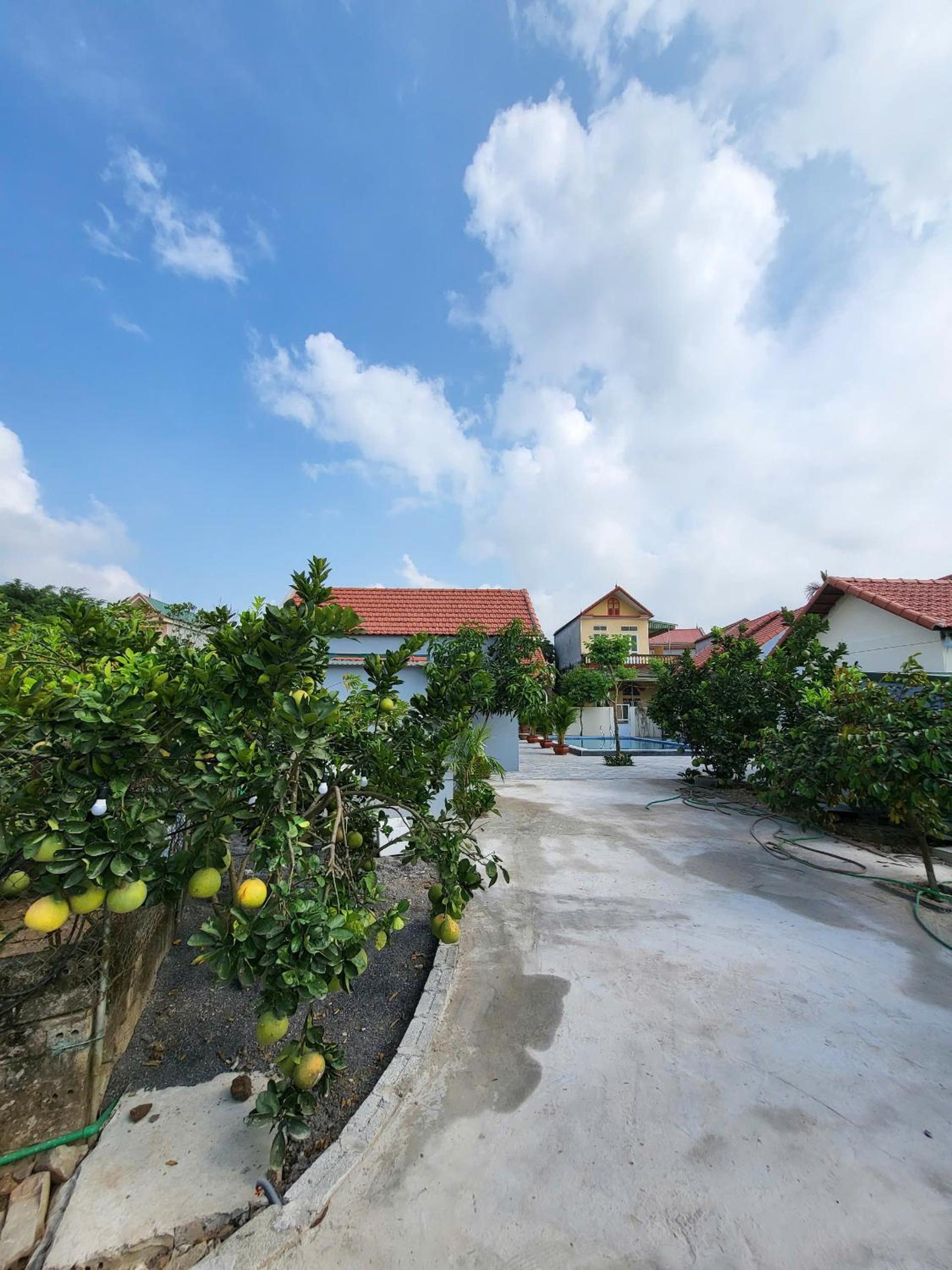 Deluxe Triple Room with Pool View (3 Single Beds) photo 3