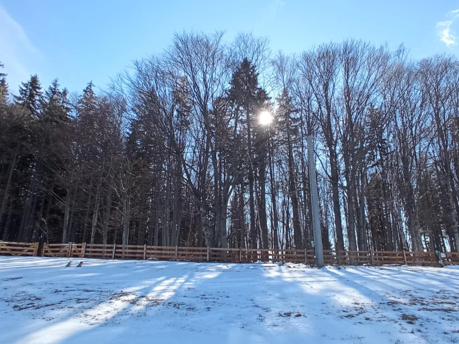 Vacation Home - Photo 30