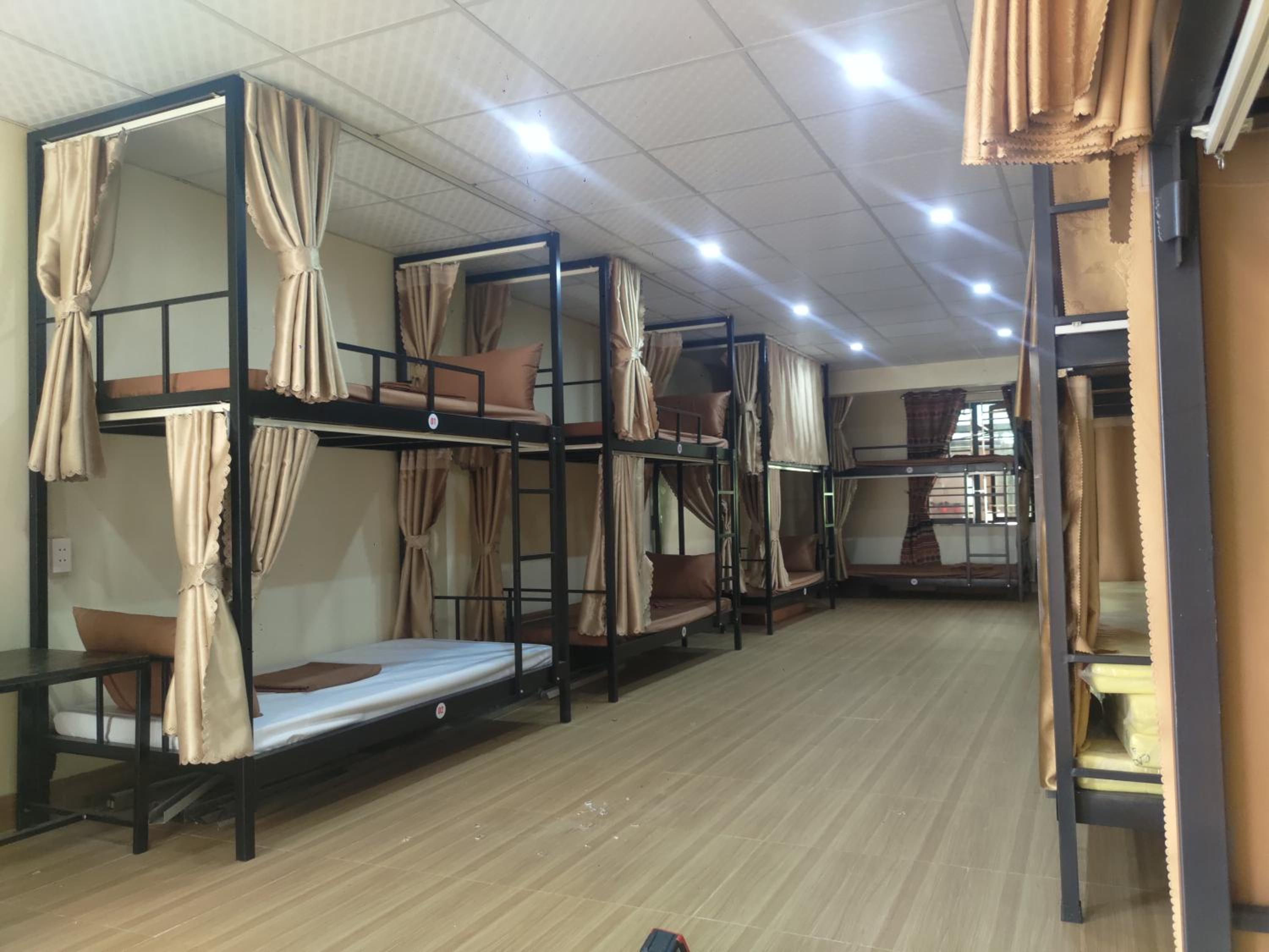 Bunk Bed In Mixed Dormitory Room photo 3