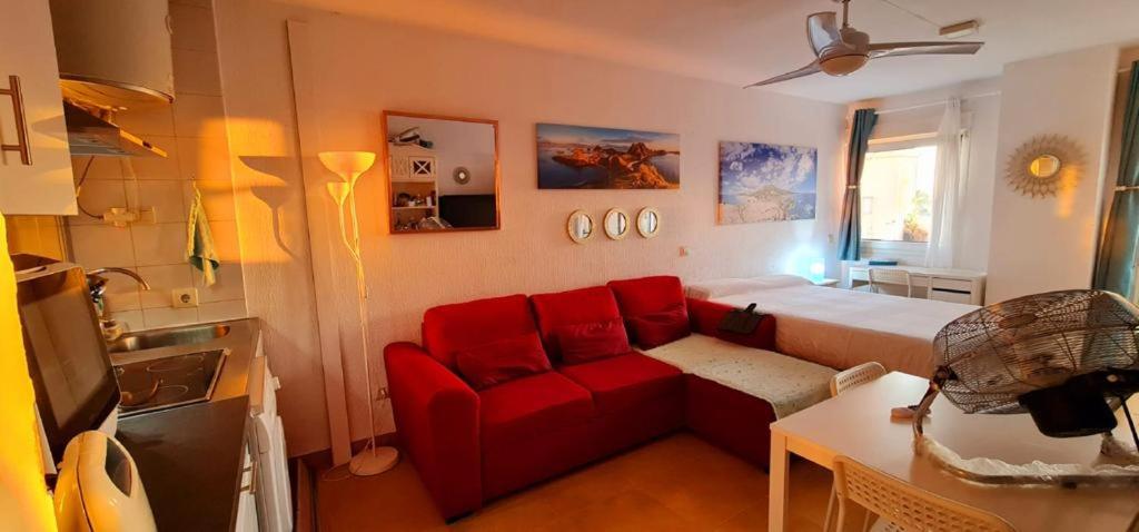 Estudio con terraza