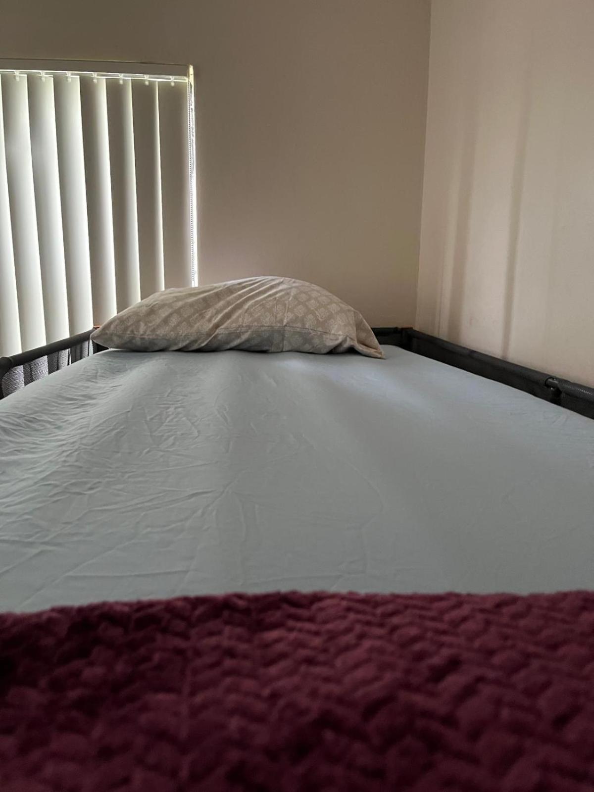 Bunk Bed In Mixed Dormitory Room photo 1