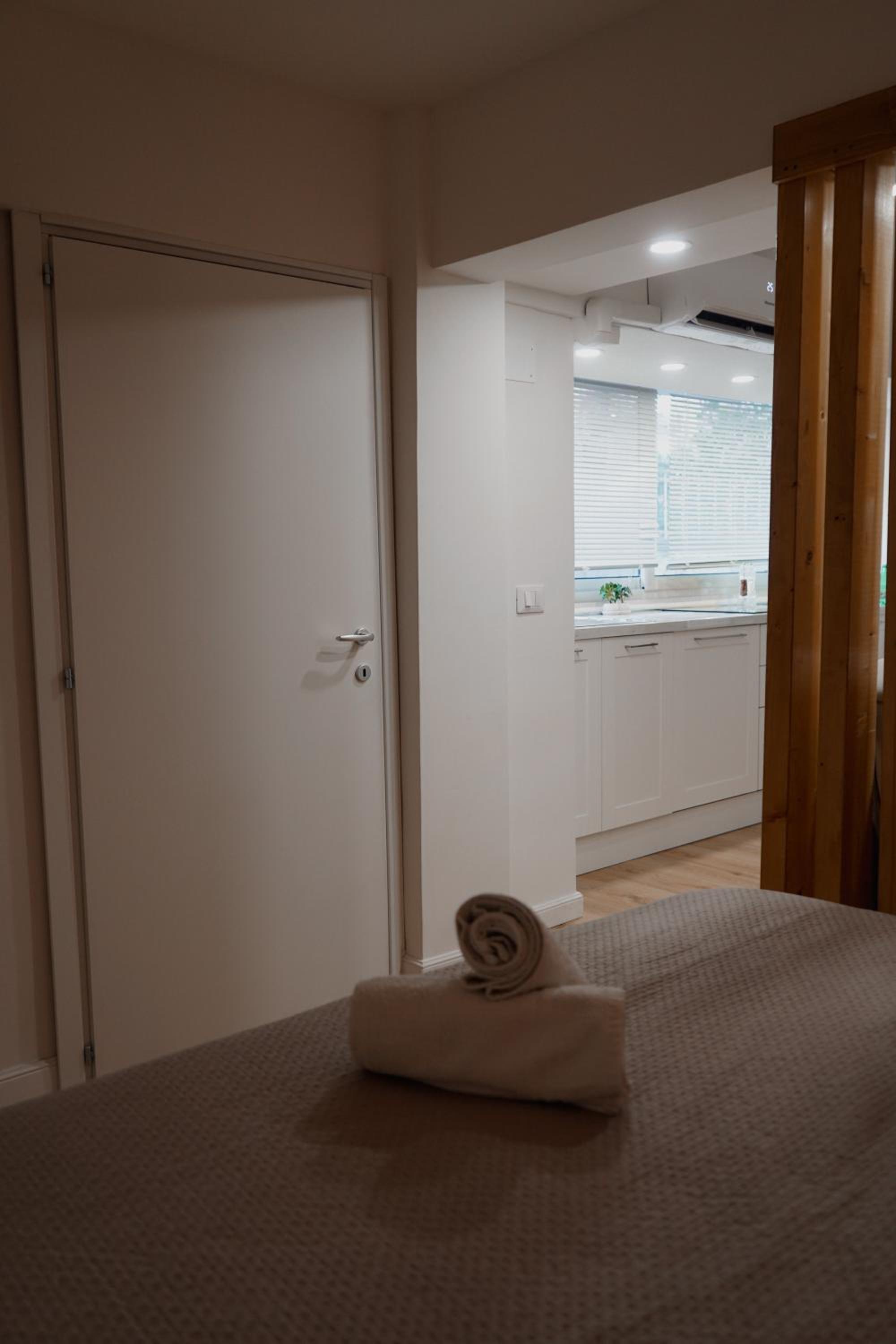 One-Bedroom Apartment photo 3