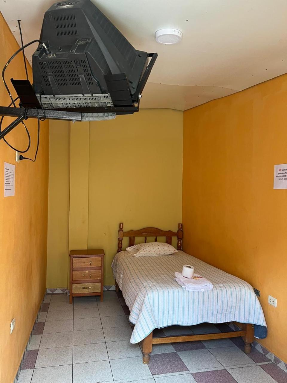 Single Room with Shared Bathroom photo 2