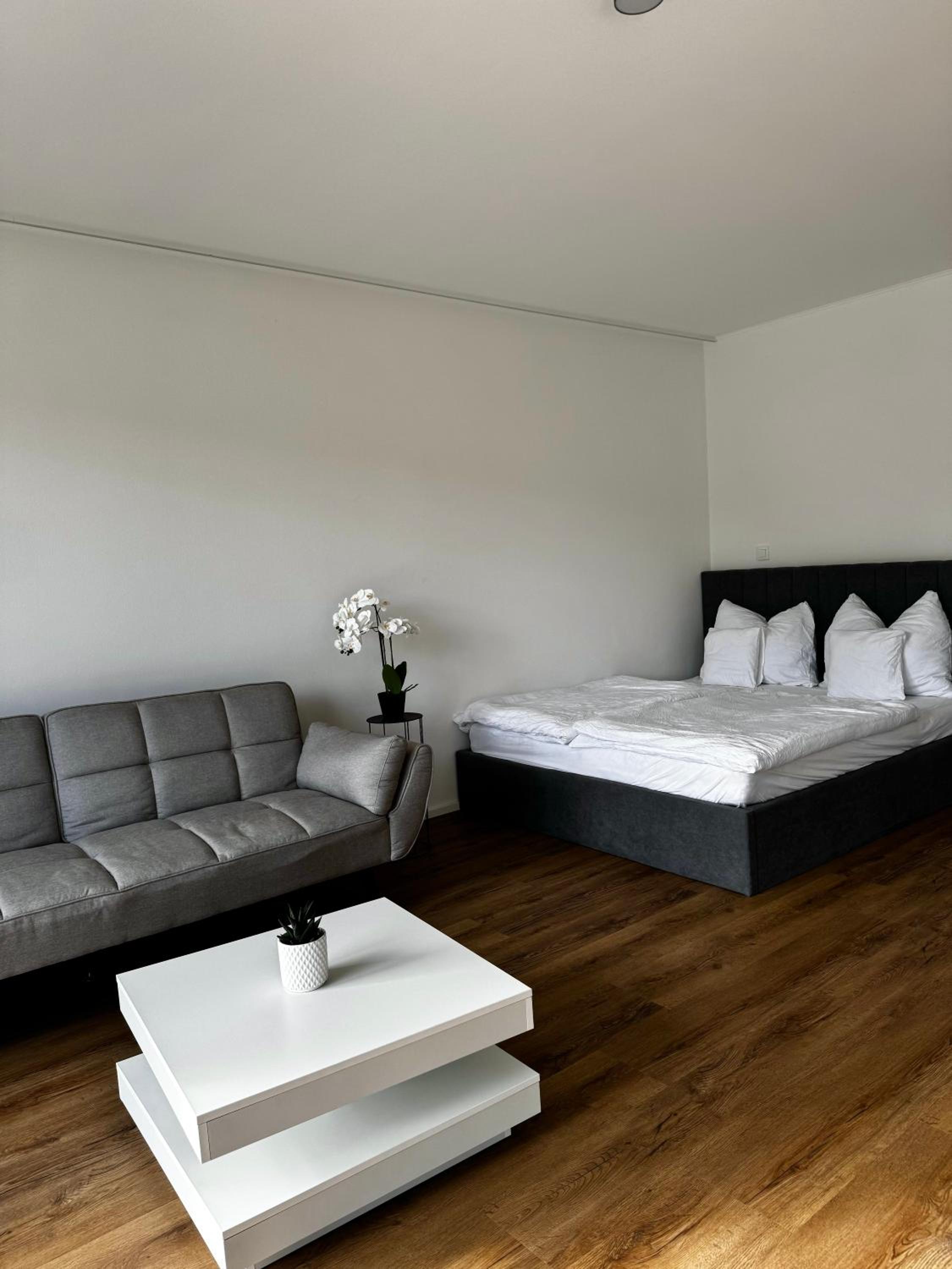 One-Bedroom Apartment photo 1