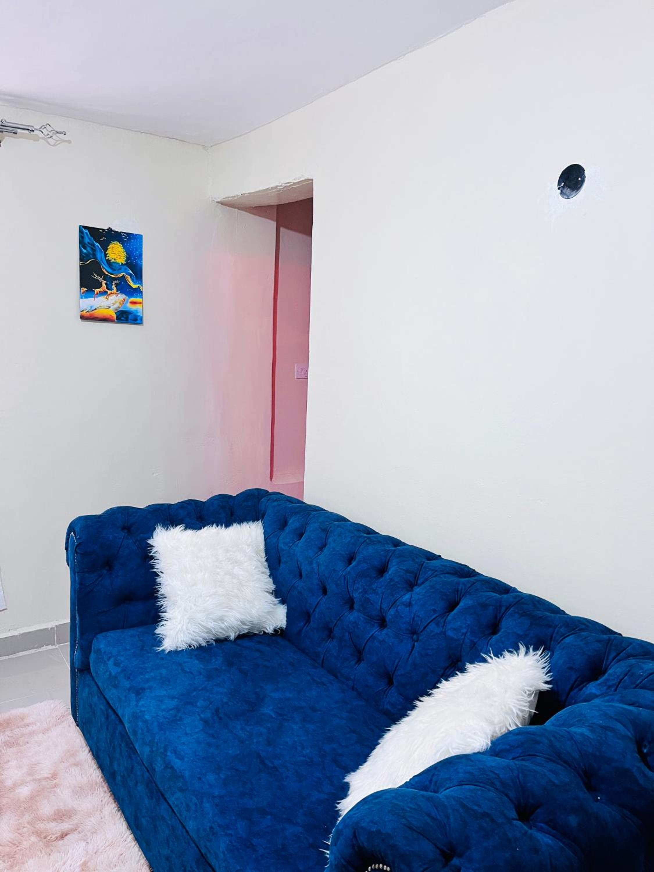 One-Bedroom Apartment photo 2