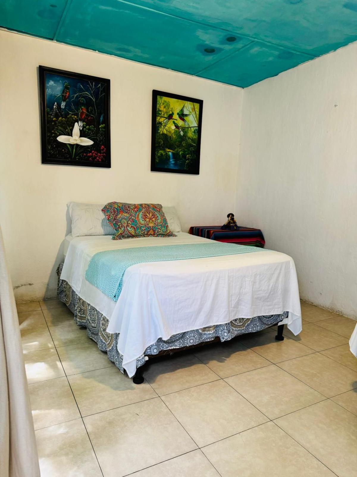 Double Room photo 3
