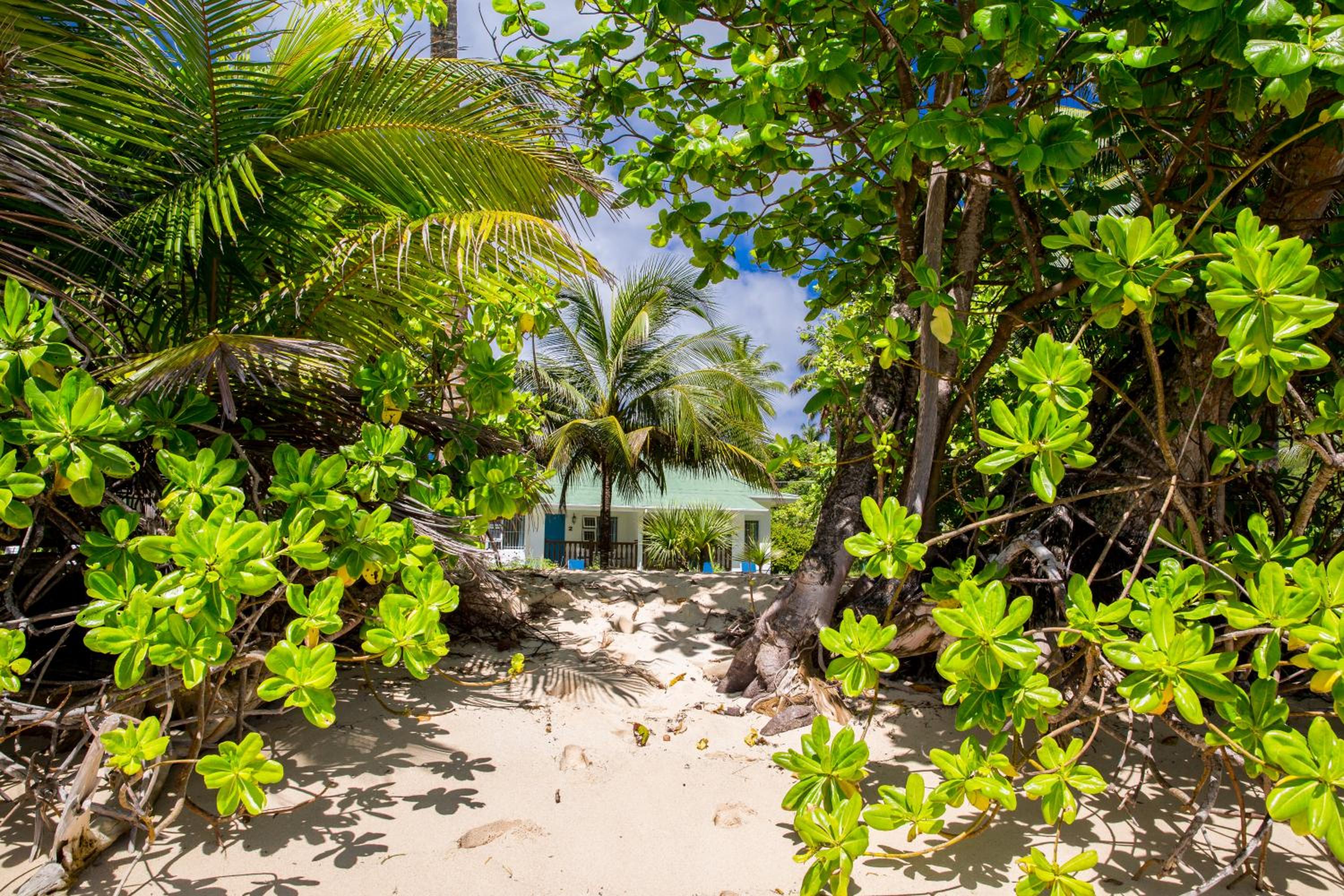 Beachfront Bungalow  photo 2