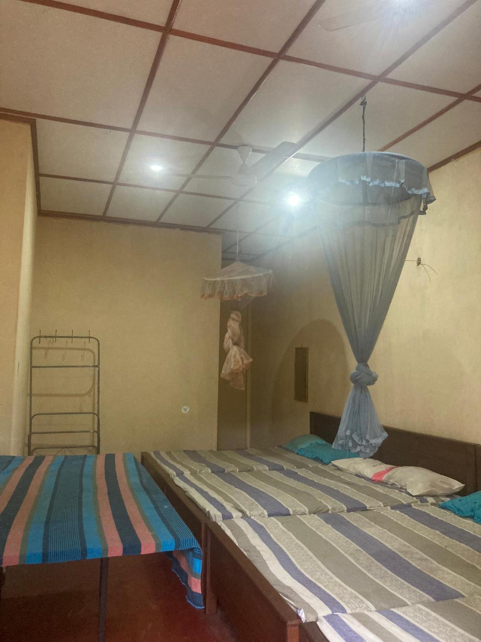 Triple Room photo 3