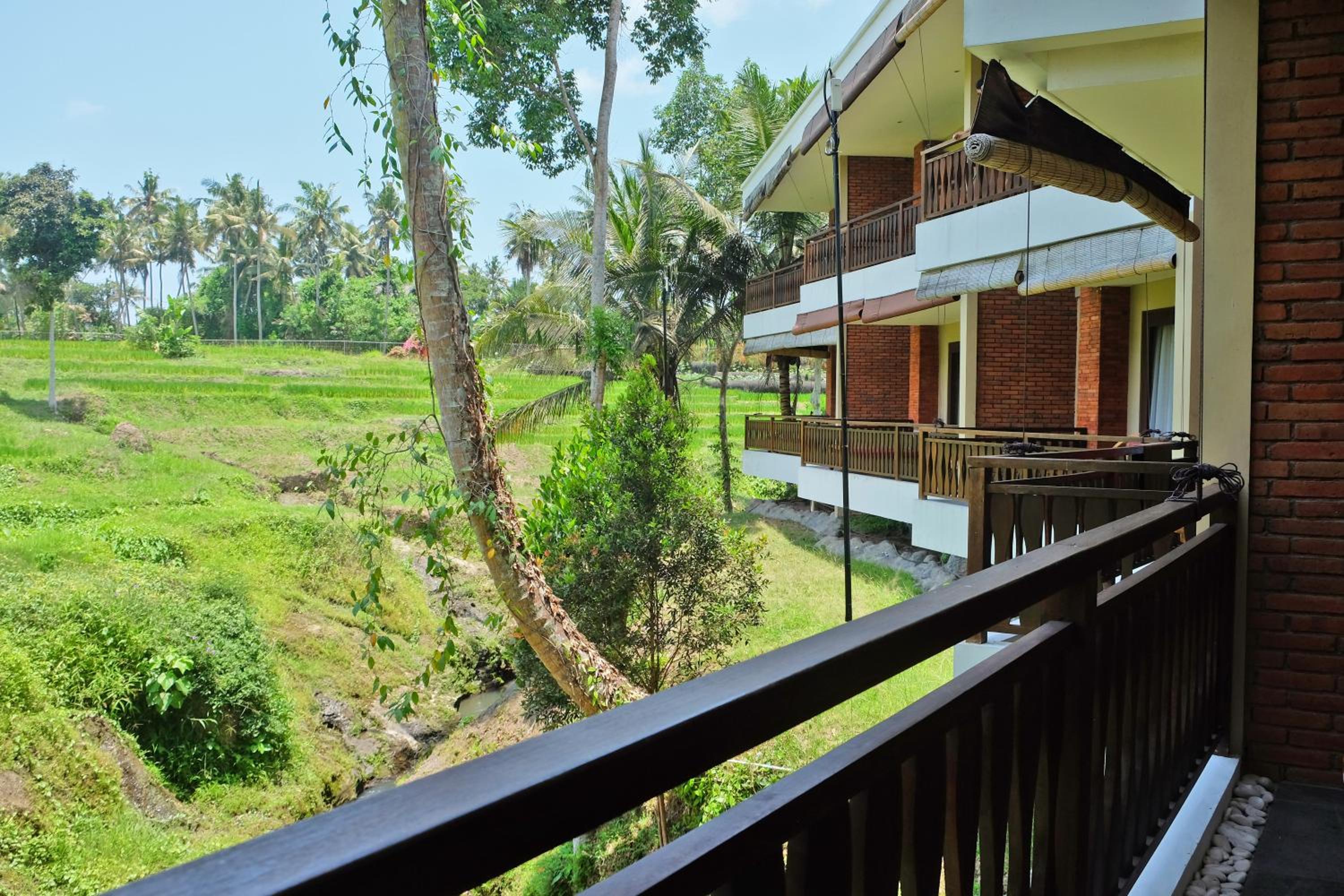 Junior Suite with Rice Field View and Free Benefits - Photo 4