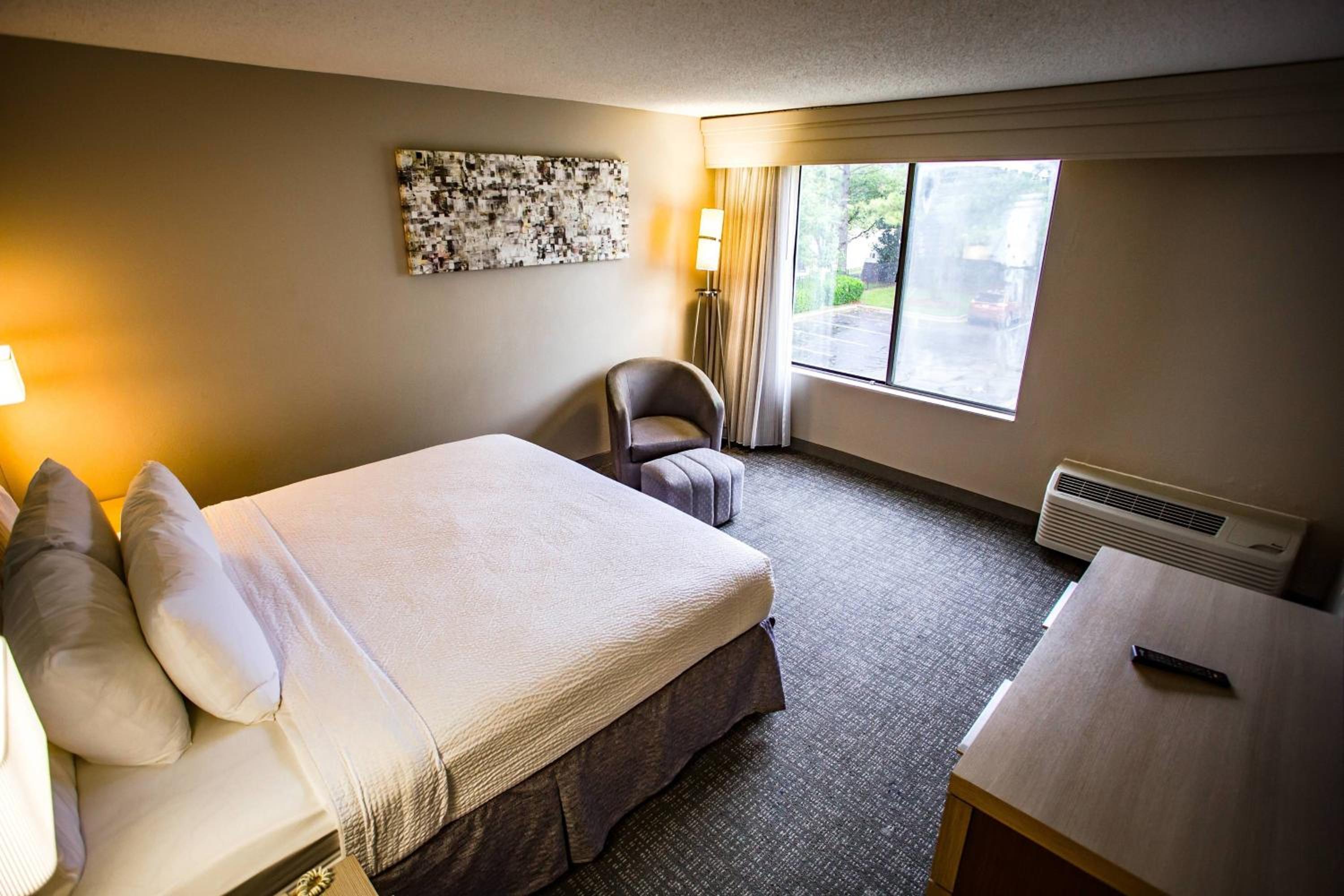 King Suite - Photo 2