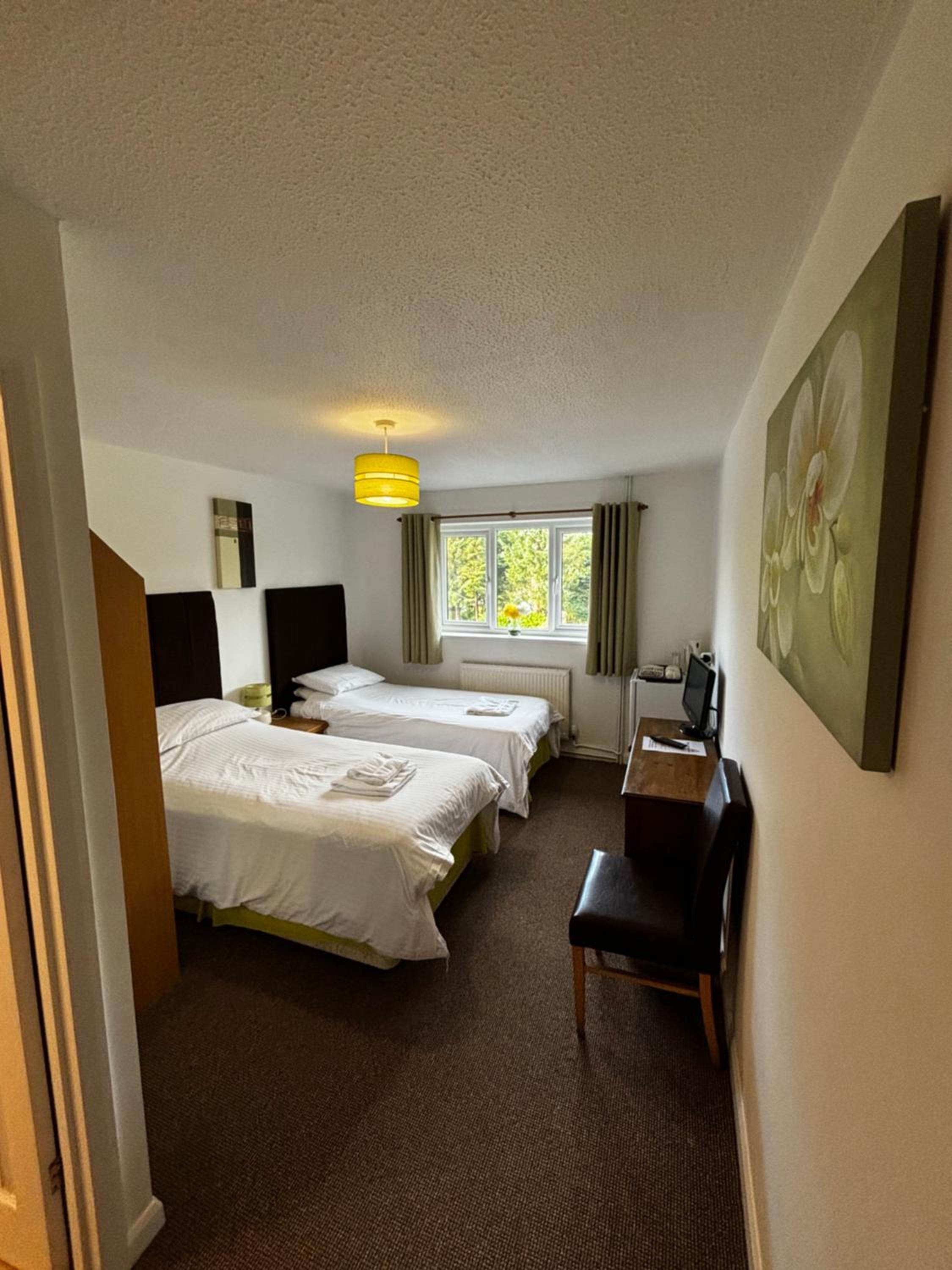 Double or Twin Room photo 3