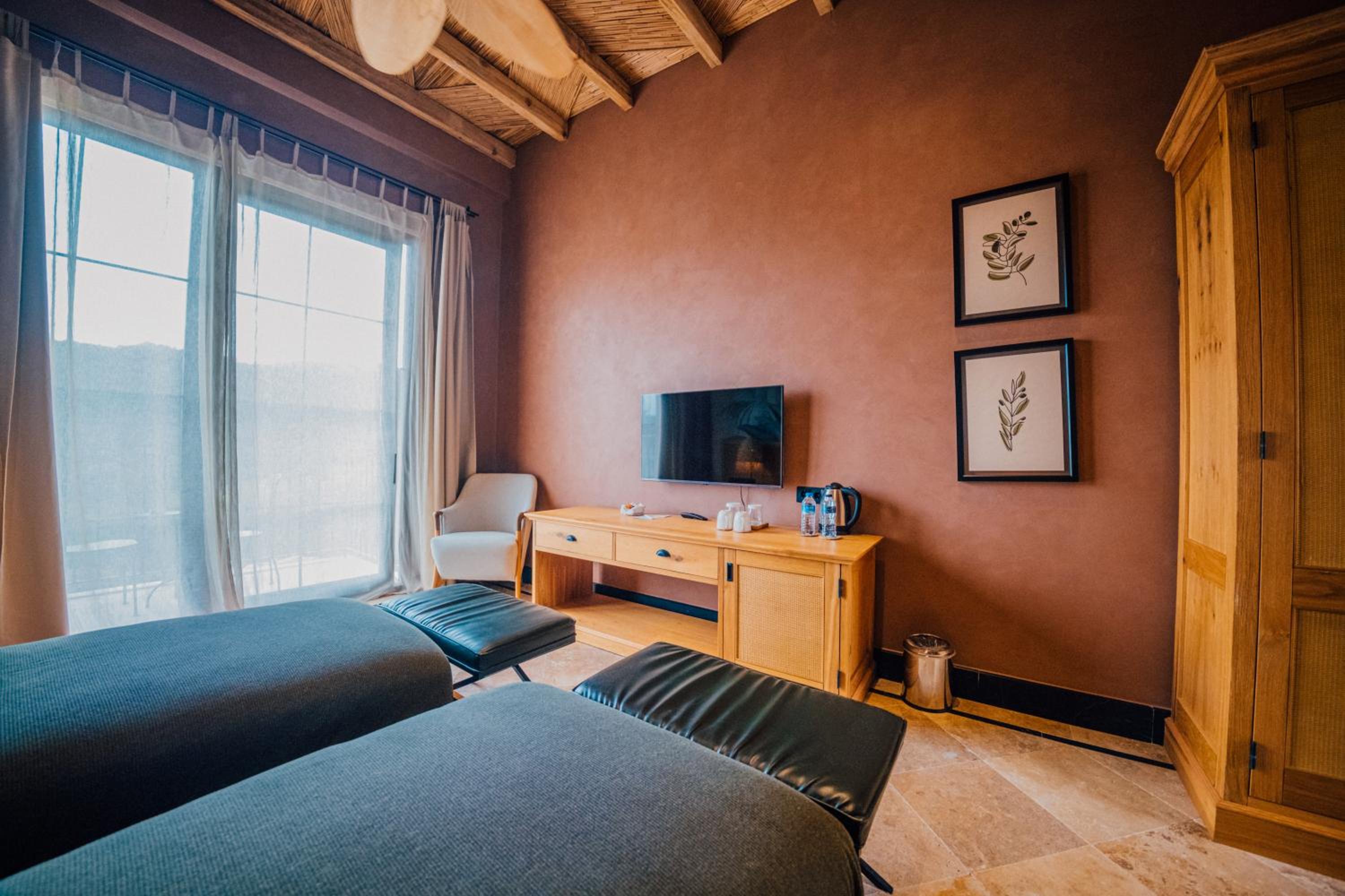 Deluxe Double or Twin Room with Mountain View