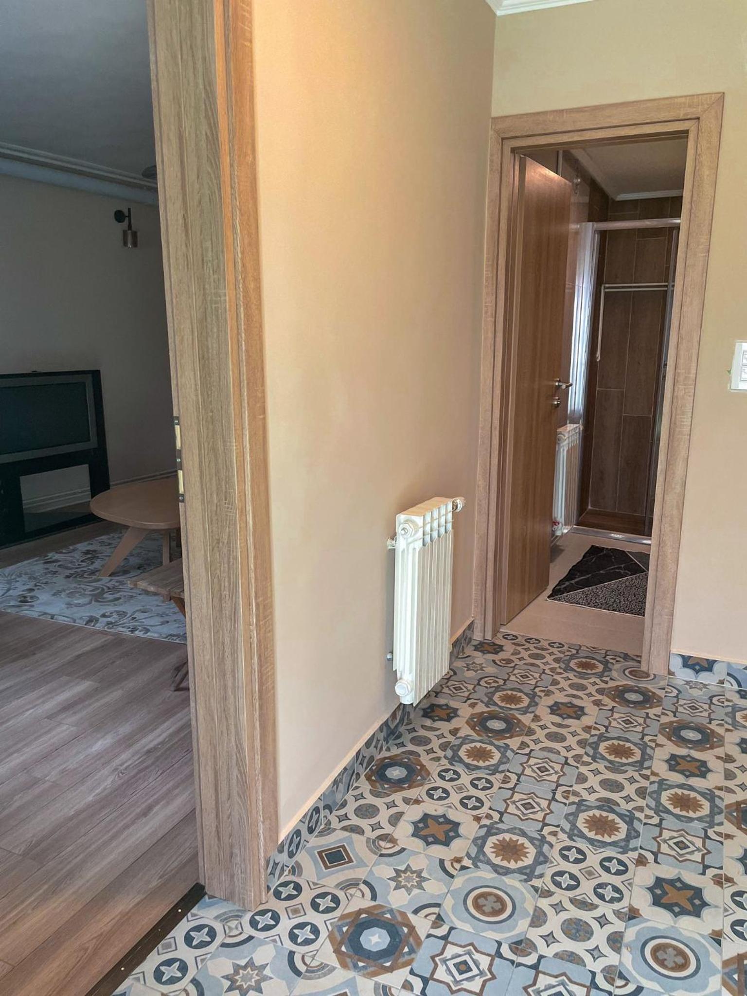 Deluxe One-Bedroom Apartment