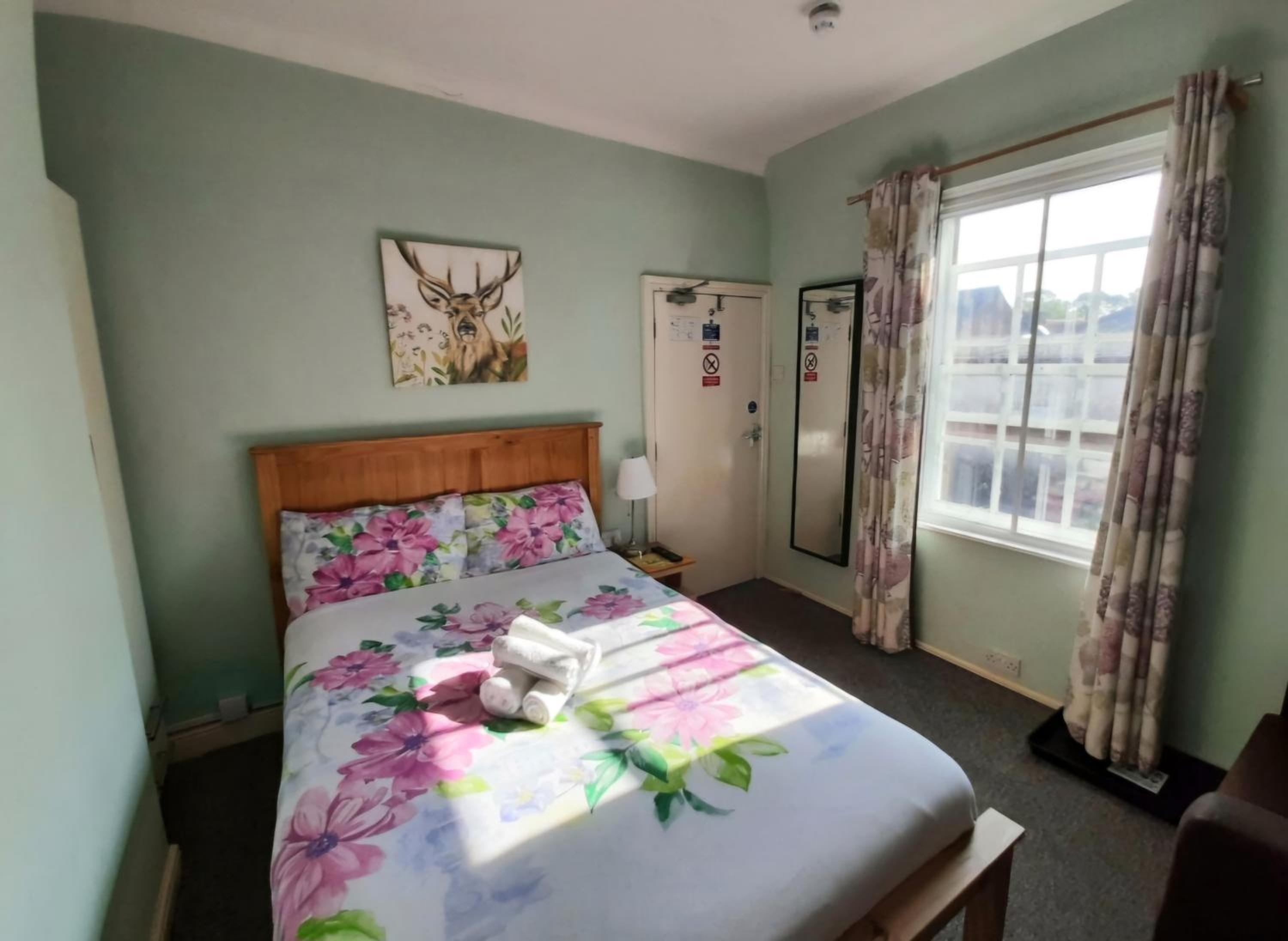 Standard Double Room photo 1