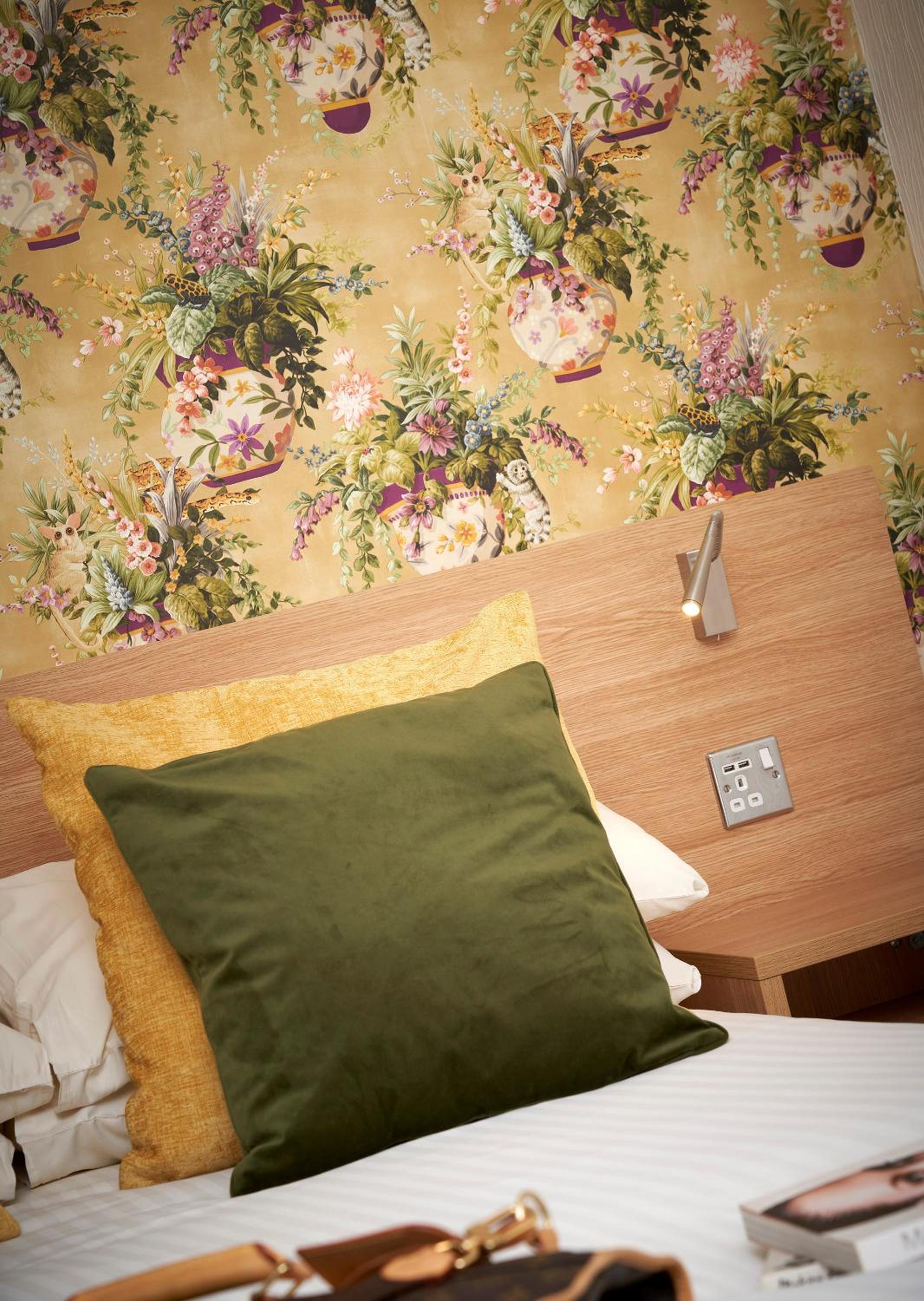 Single Room photo 3
