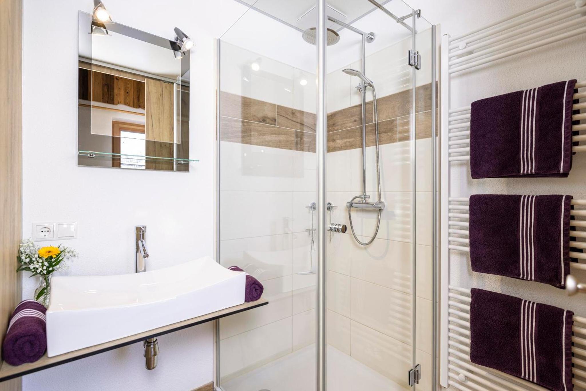 Apartment with Shower photo 2