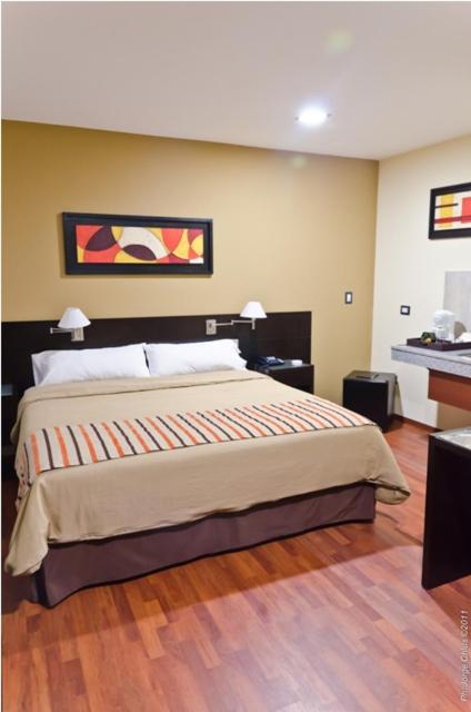 Superior Queen Room photo 2