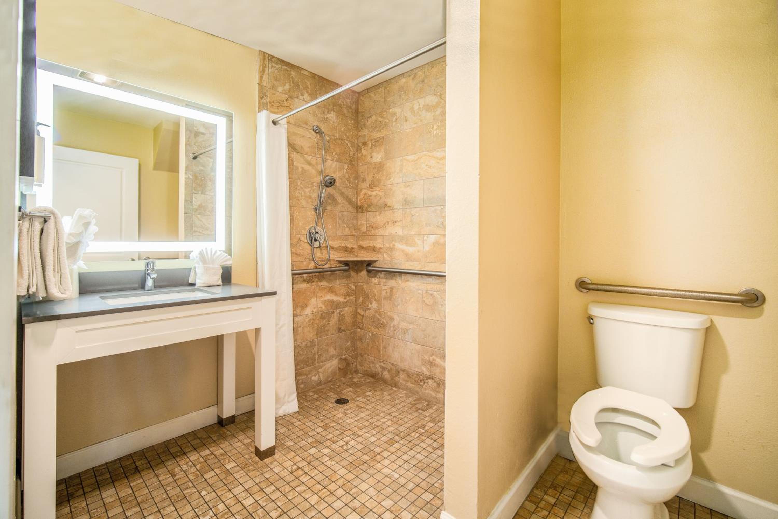 King Suite - Disability Access/Non-Smoking - Photo 7