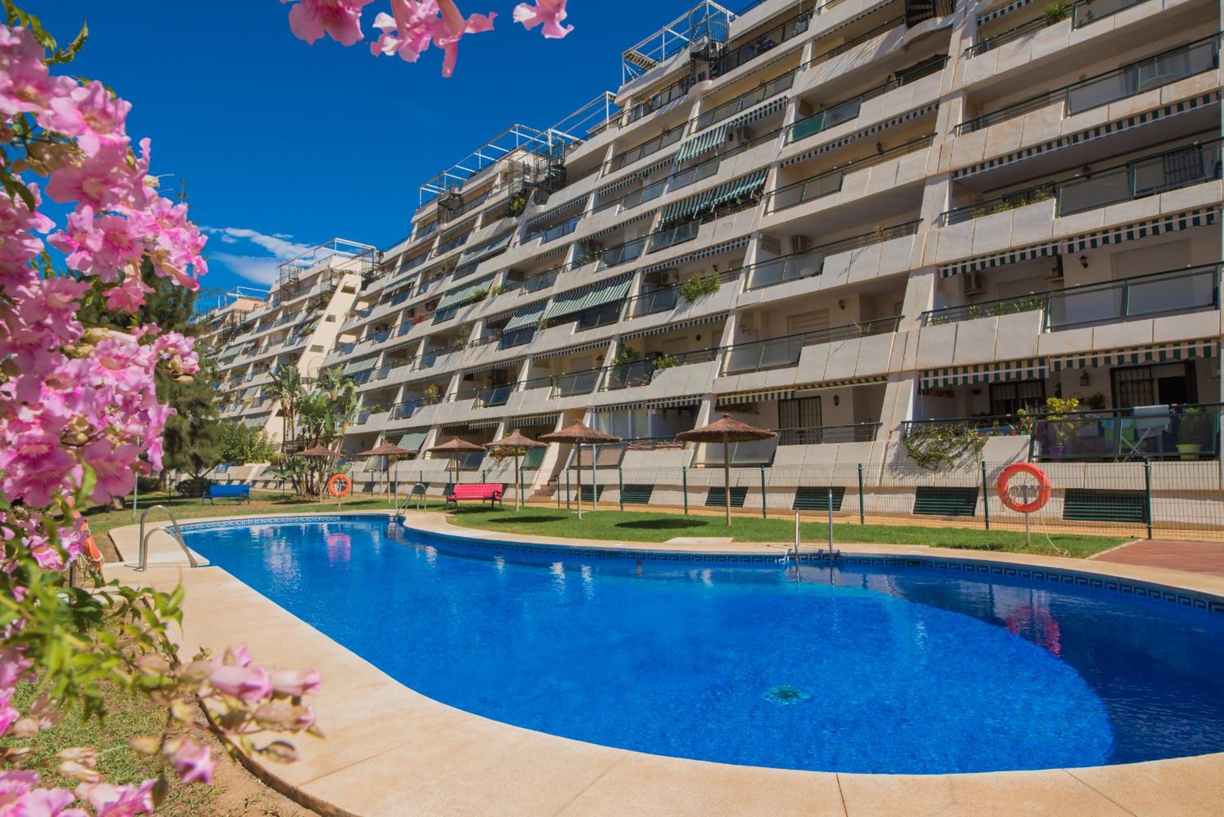 Apartment with Sea View photo 2