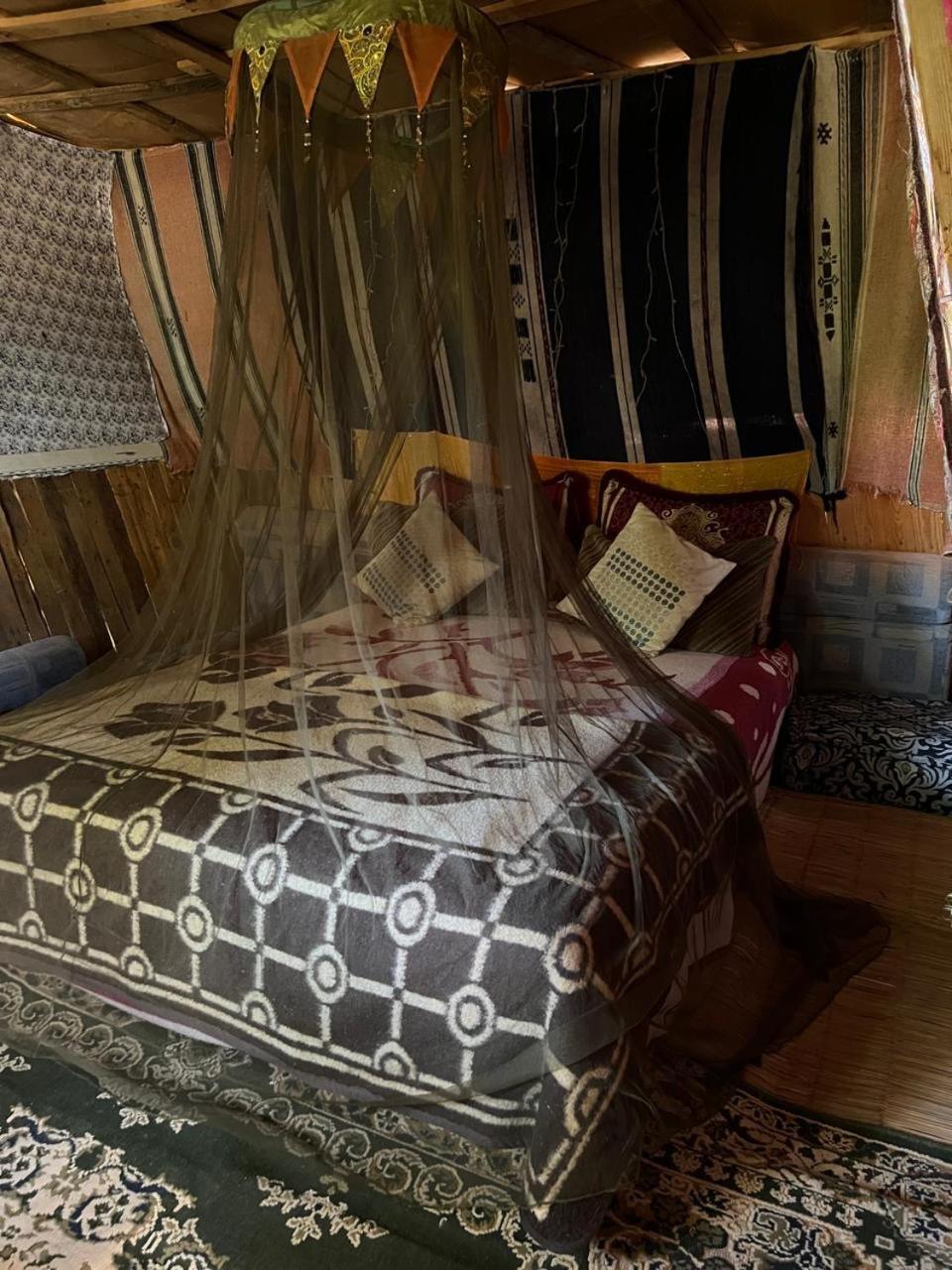 Mobile Home photo 1