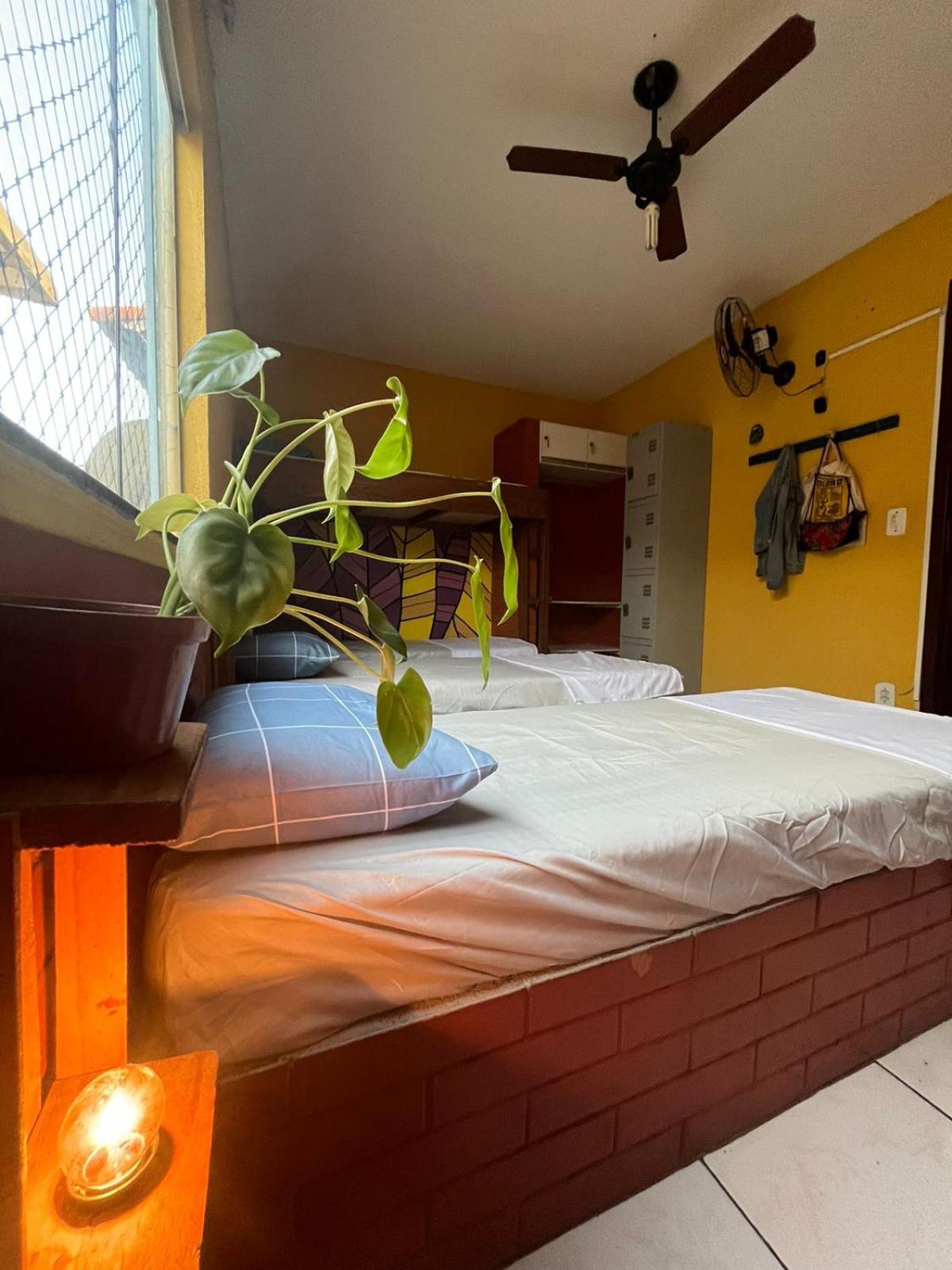 Bed in 6-Bed Female Dormitory Room