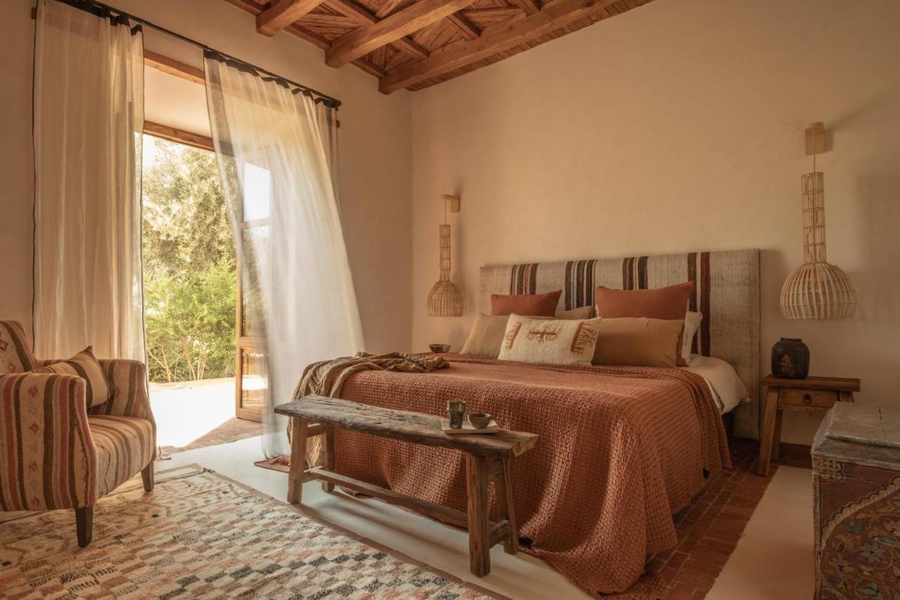 Suite with Terrace - Photo 3