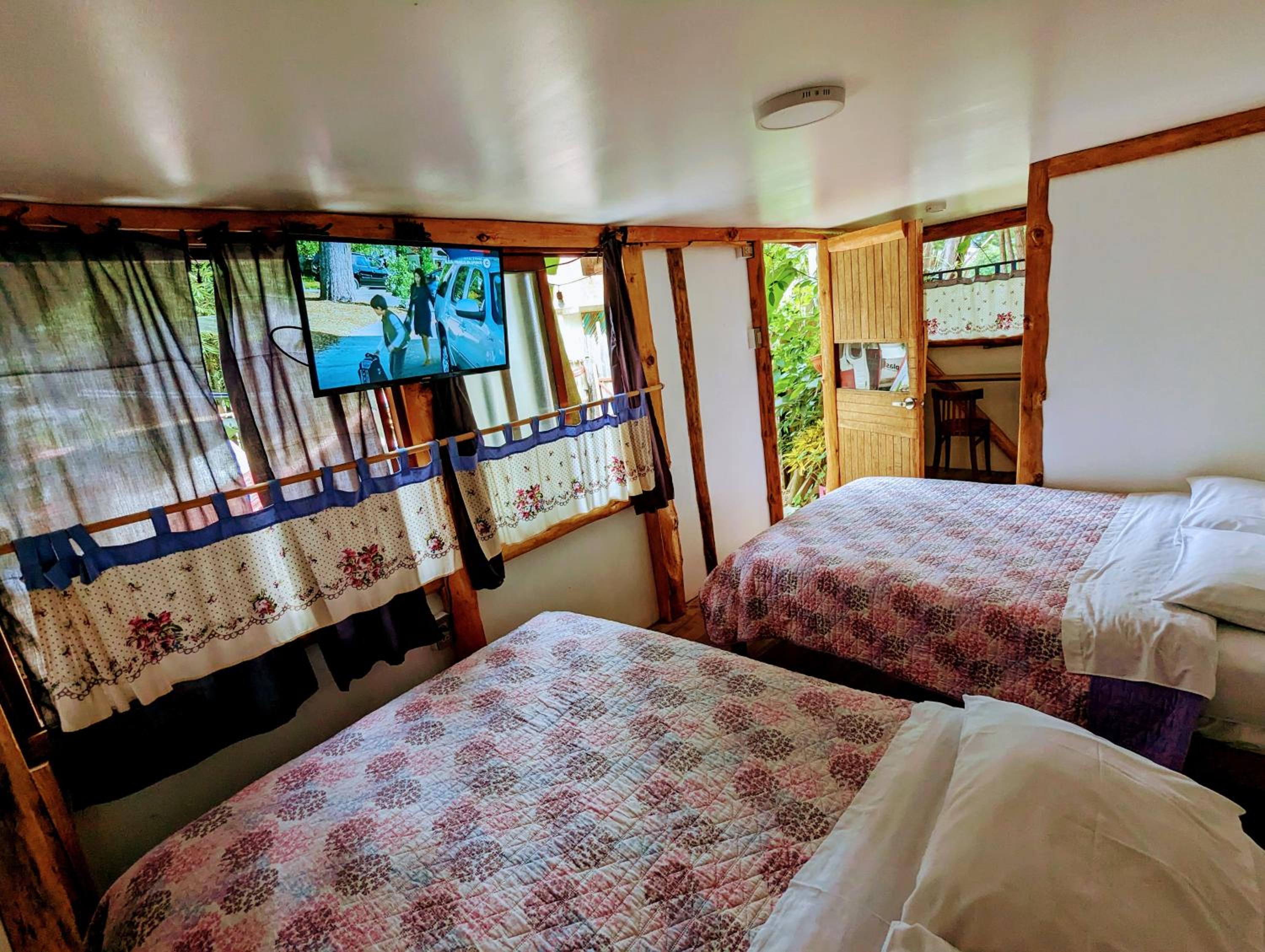King Room photo 1