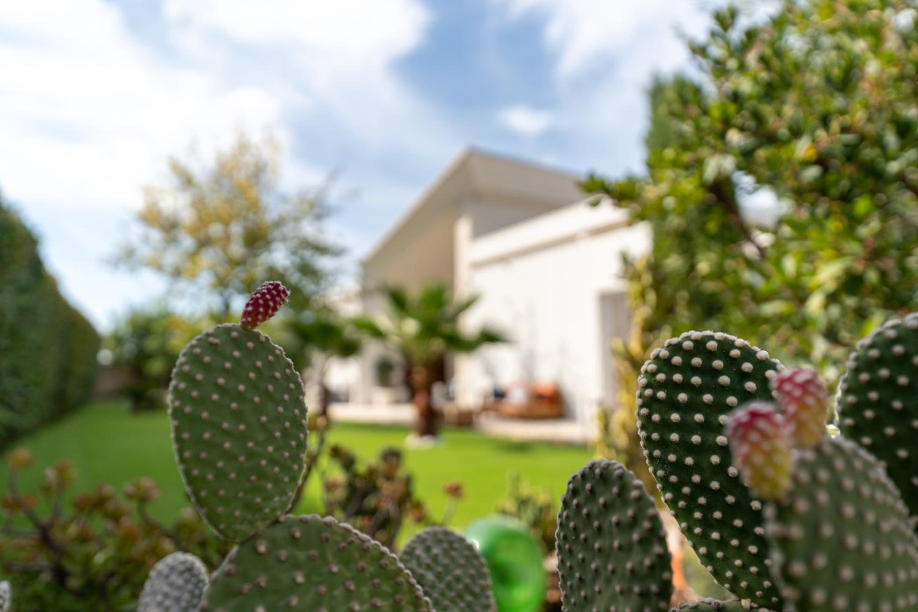Villa with Garden View - Photo 19