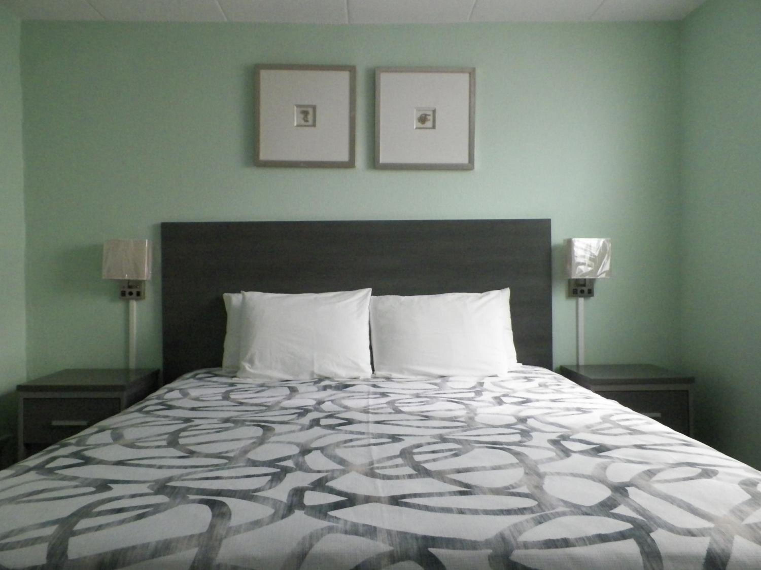 Luxury King Suite photo 1