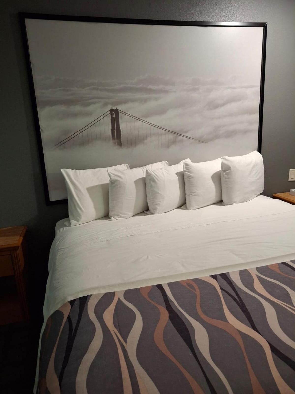 Standard Single Room photo 2