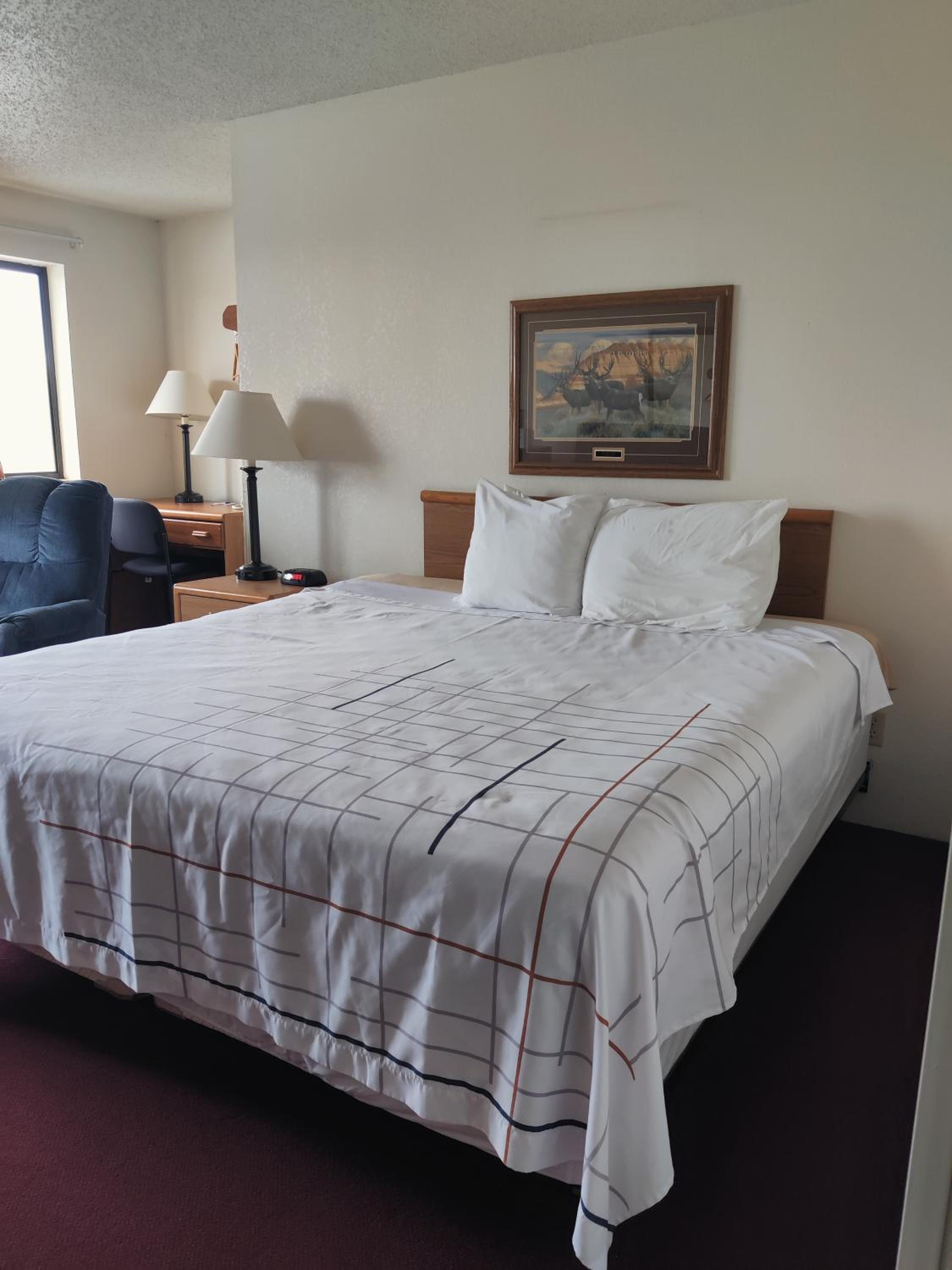 King Room - Non-Smoking - Photo 7