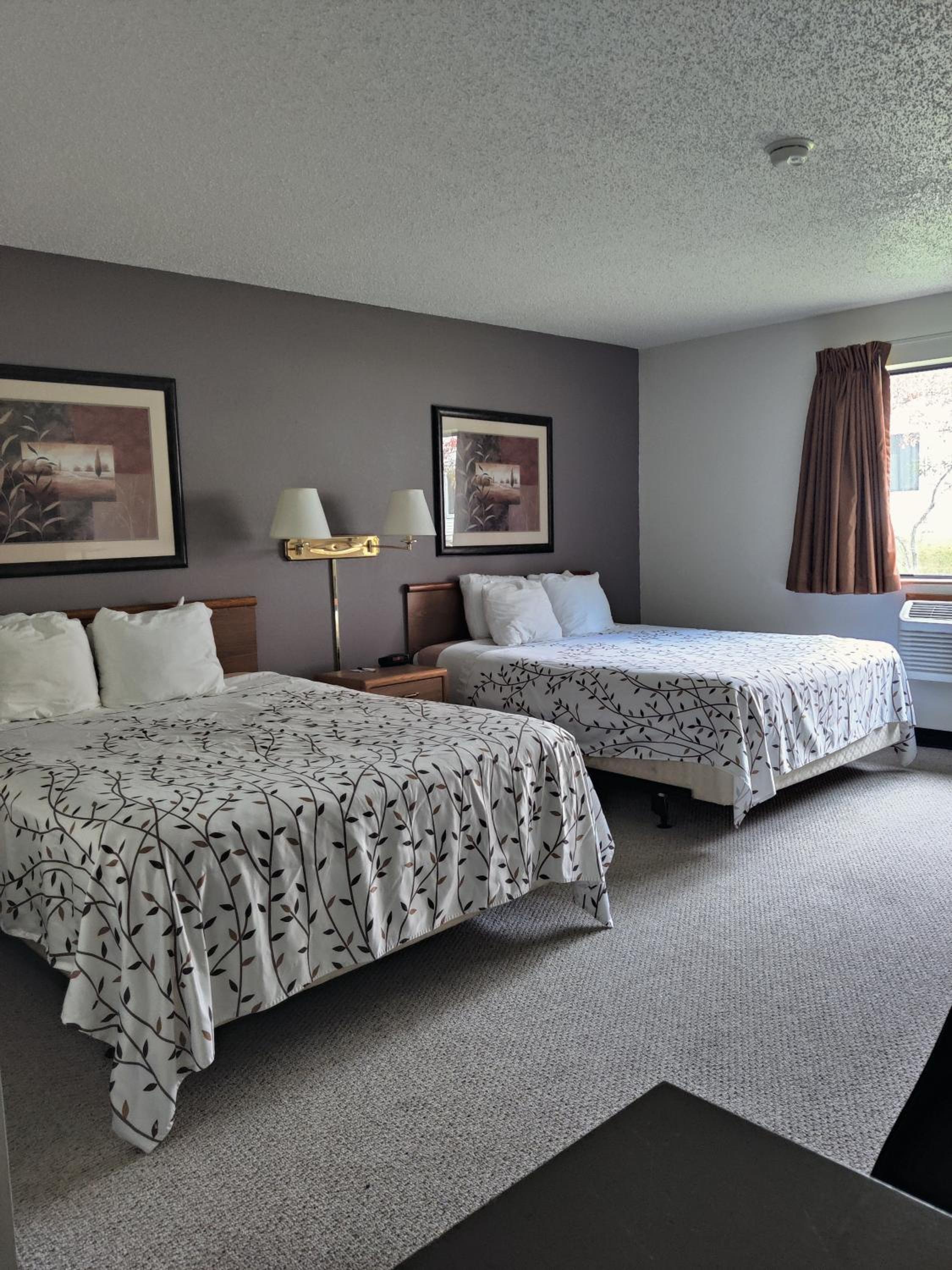 Quadruple Room photo 1