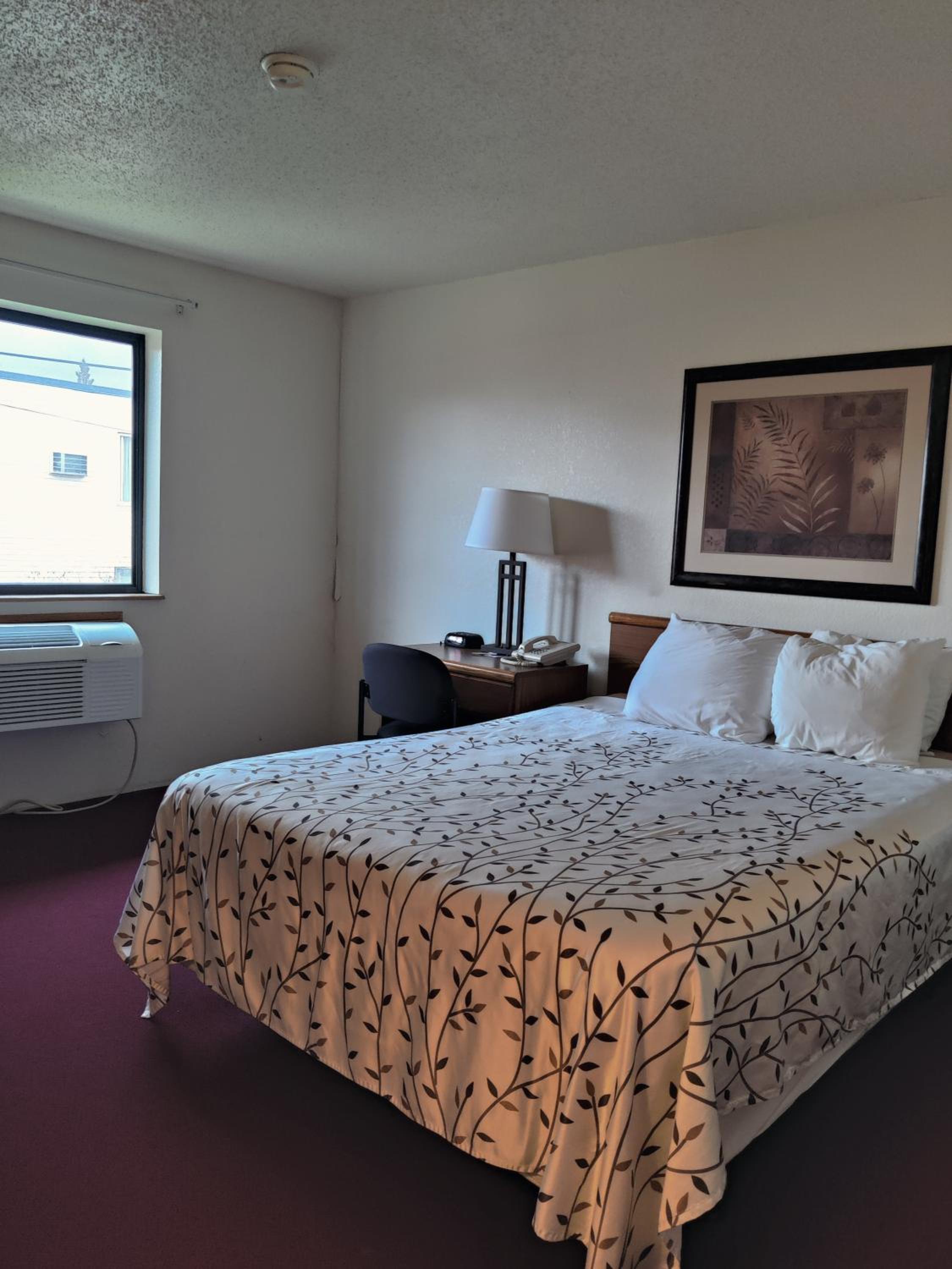 Superior Suite photo 2