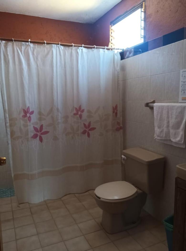 Bungalow - Photo 8