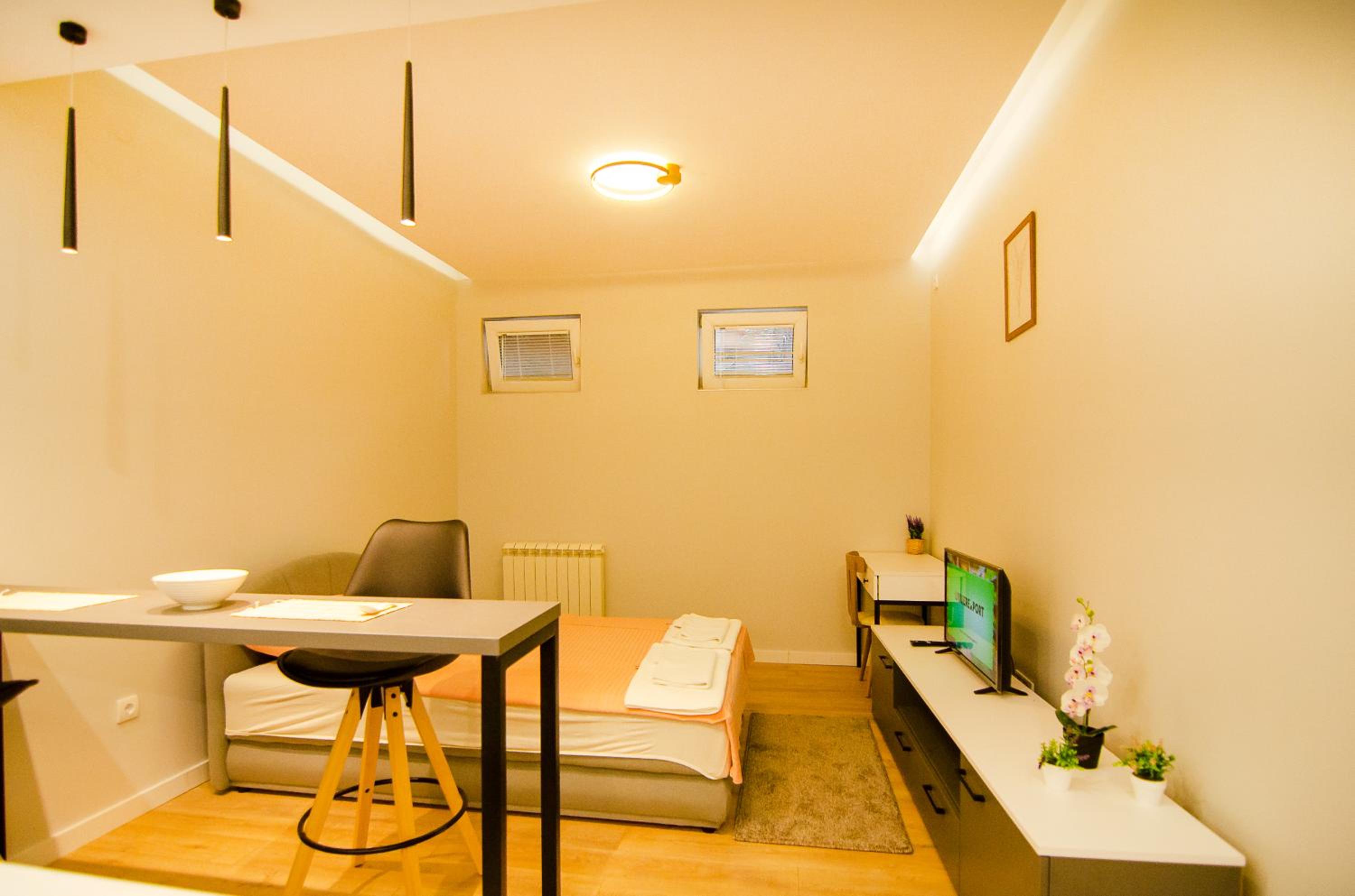 One-Bedroom Apartment photo 3