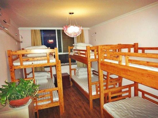 Bed in 6-Bed Mixed Dormitory Room photo 3