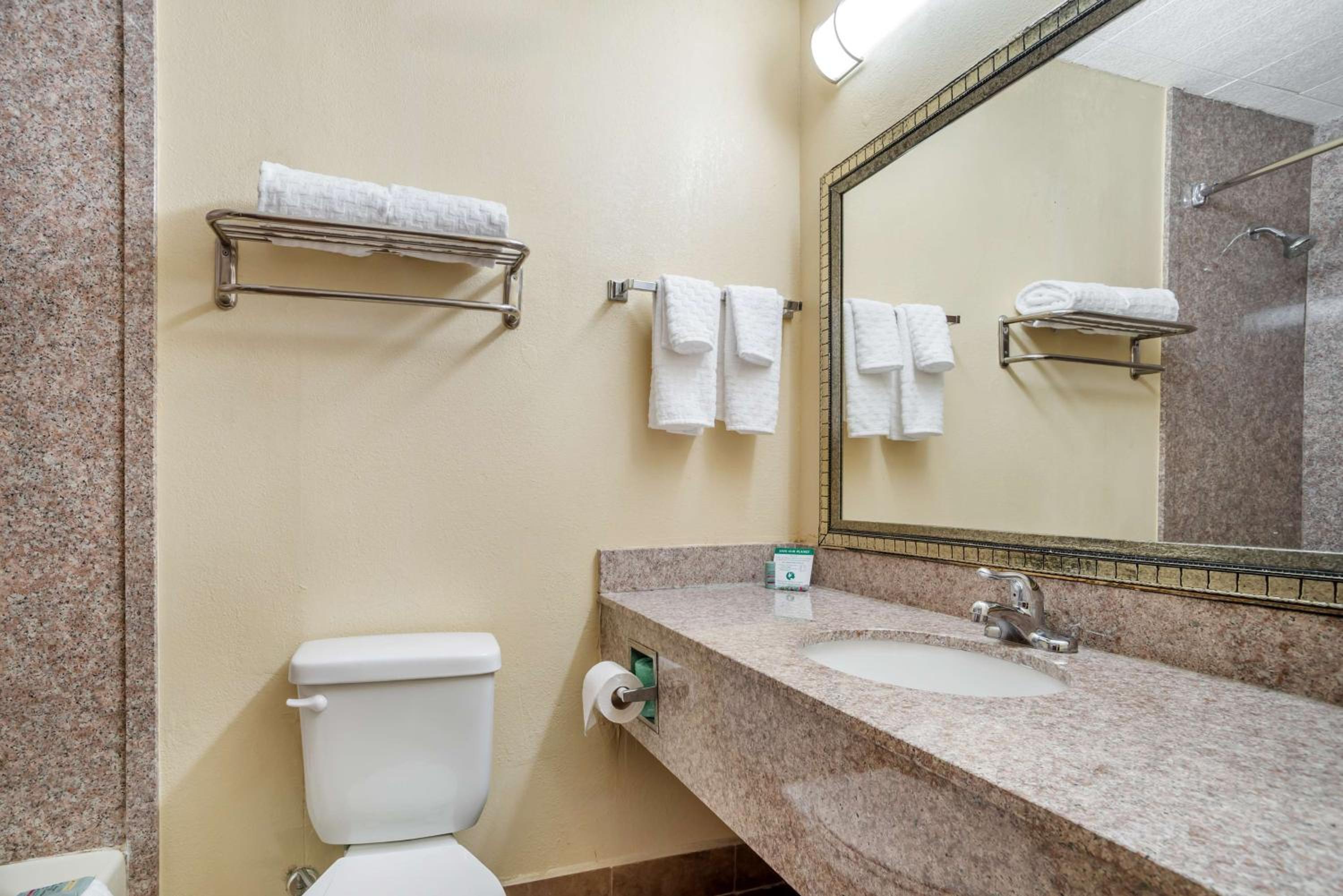 King Room - Non-Smoking - Photo 6