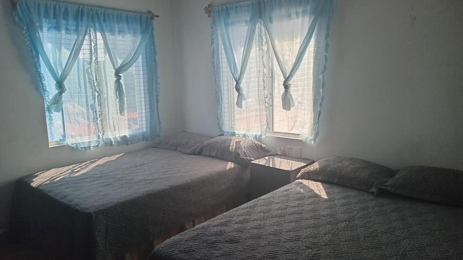 Twin Room photo 1
