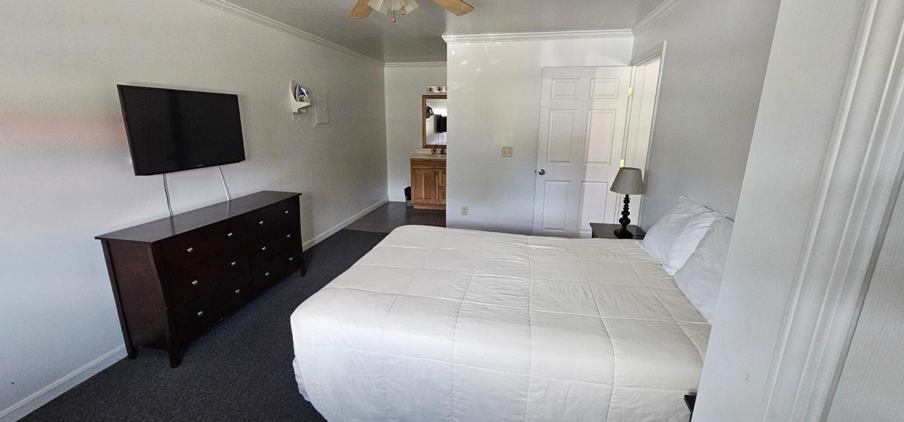 Deluxe Suite photo 1