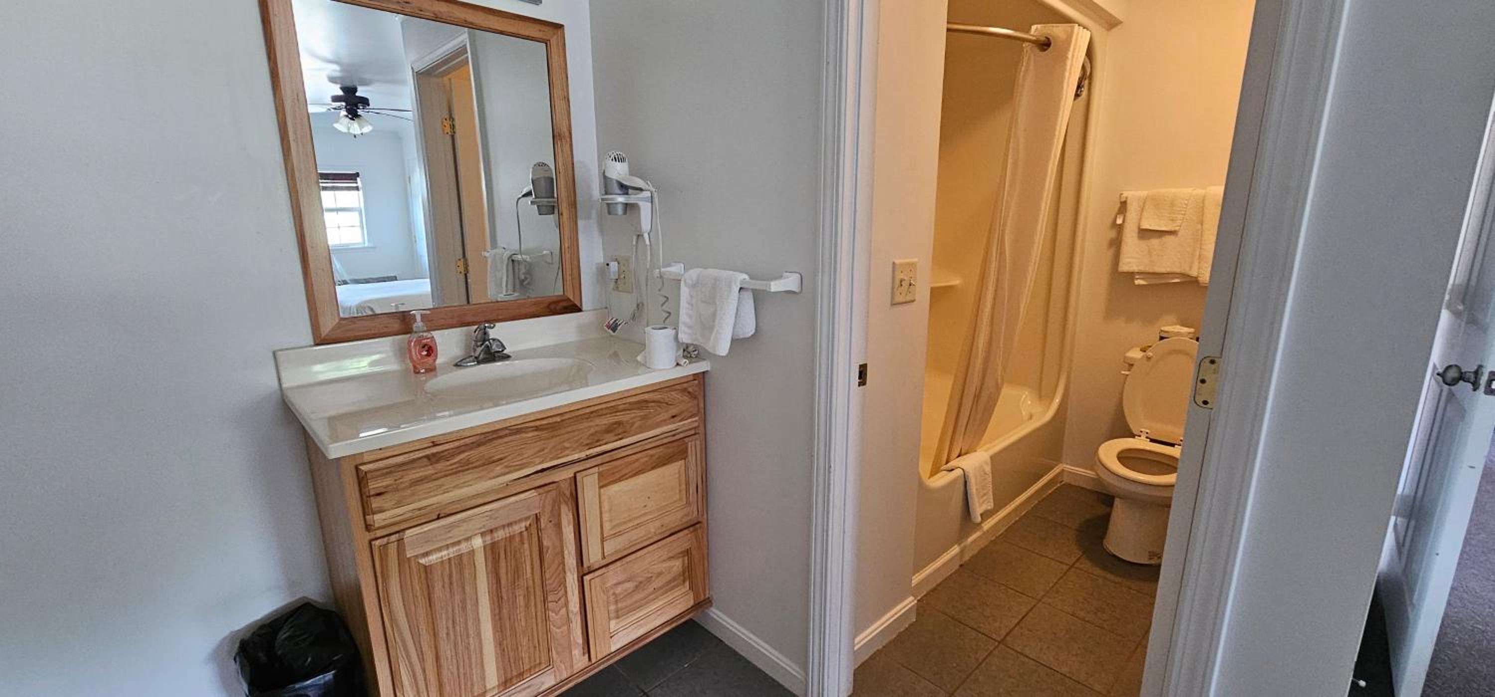Deluxe Suite photo 3