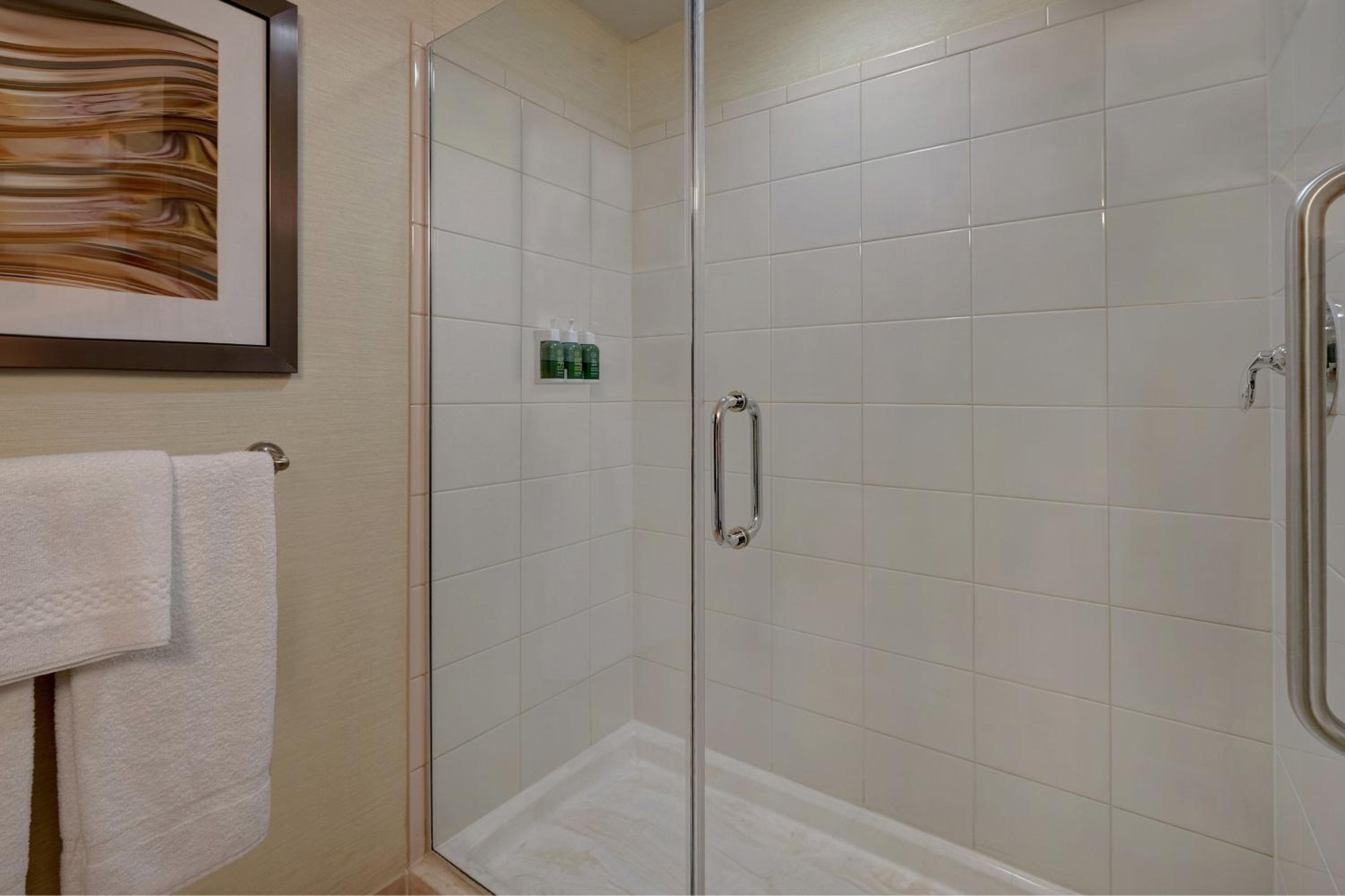 One-Bedroom King Suite - Mountain View - Photo 5