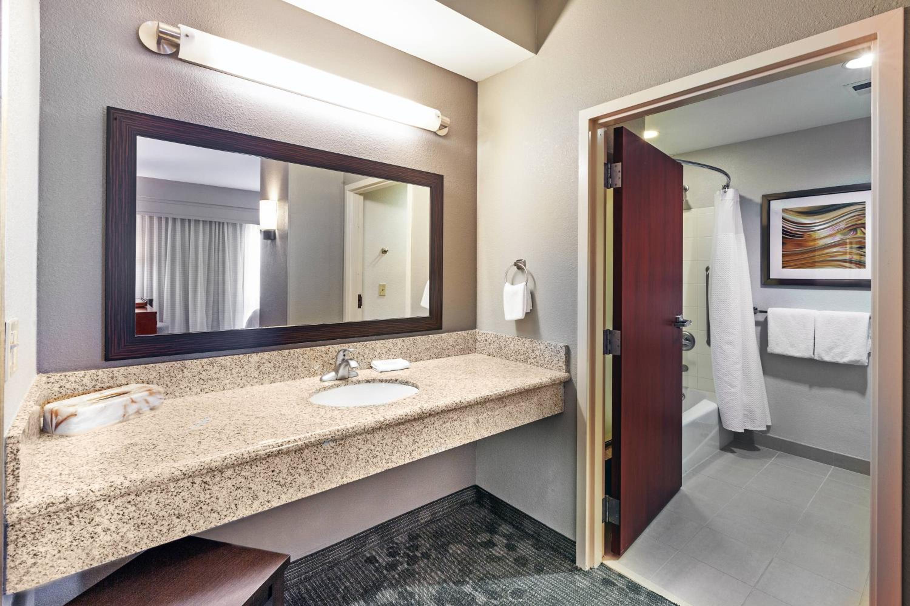 One-Bedroom King Suite with Sofa Bed - Photo 6