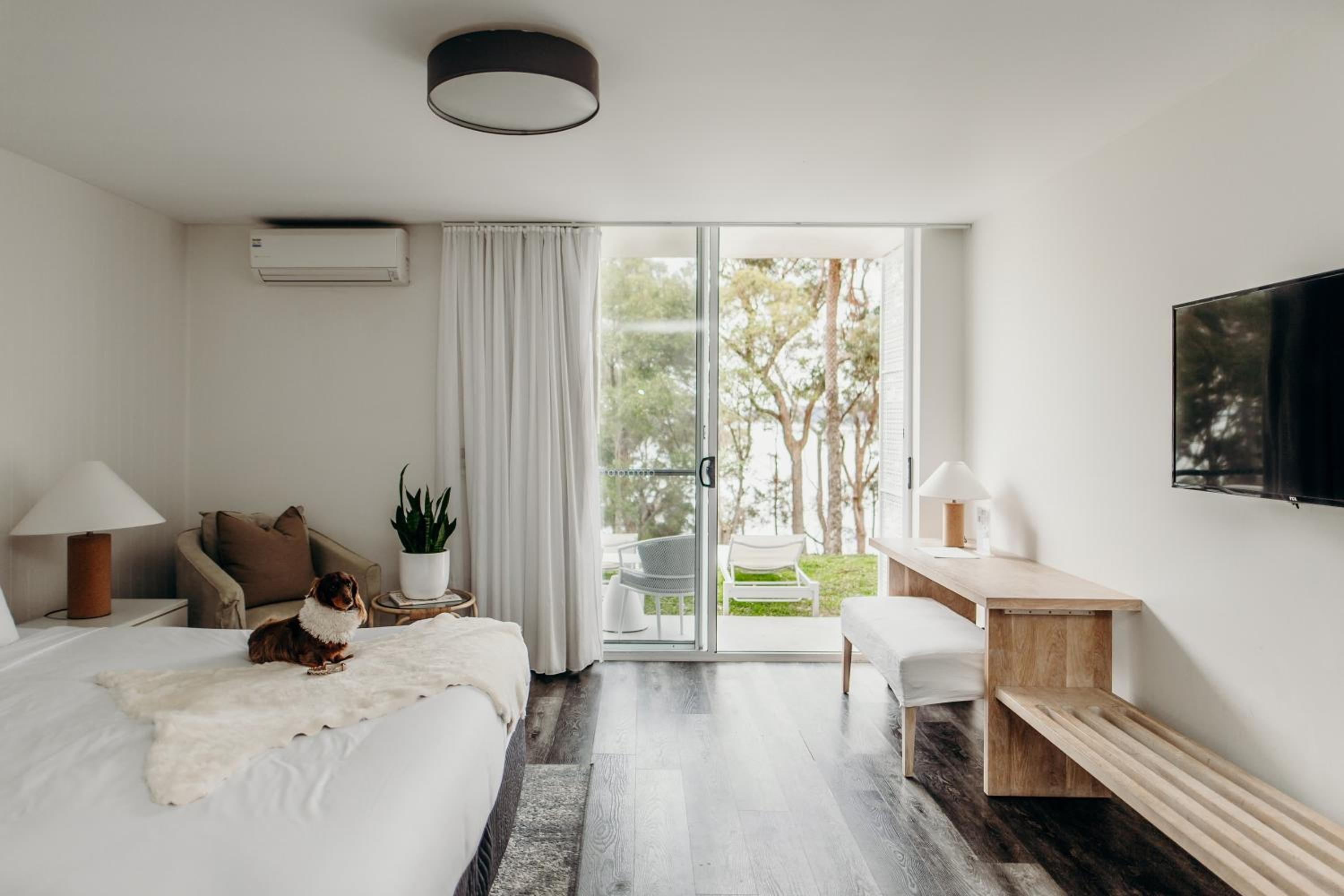 Queen Room - Pet-Friendly