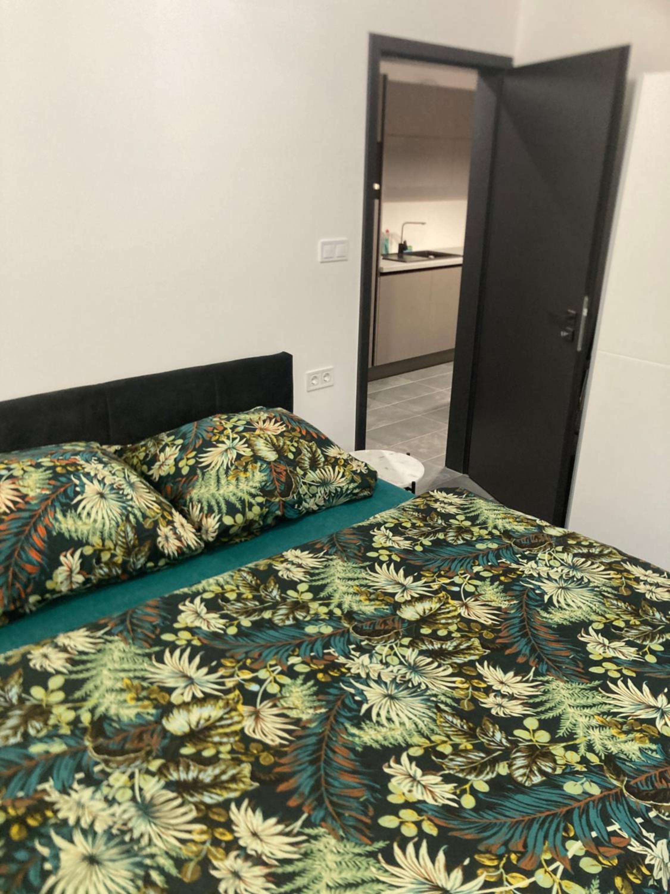 One-Bedroom Apartment photo 3