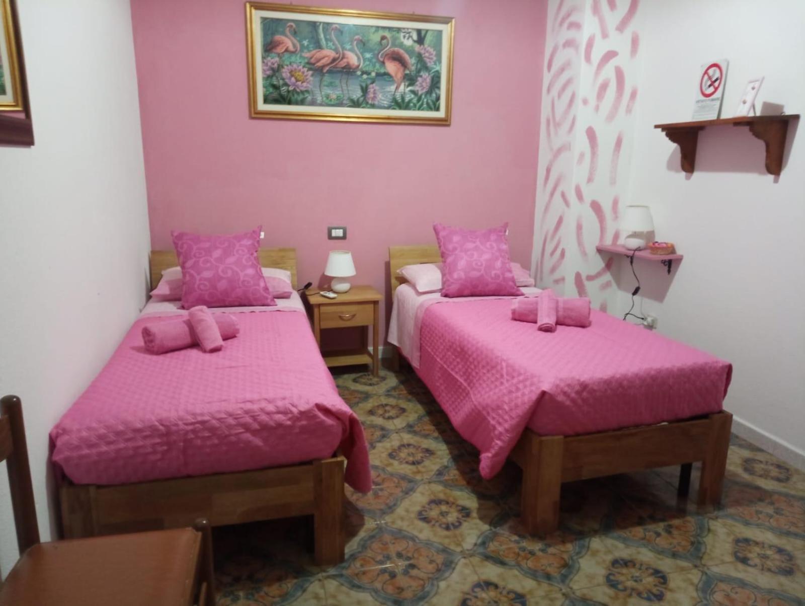 Twin Room photo 1