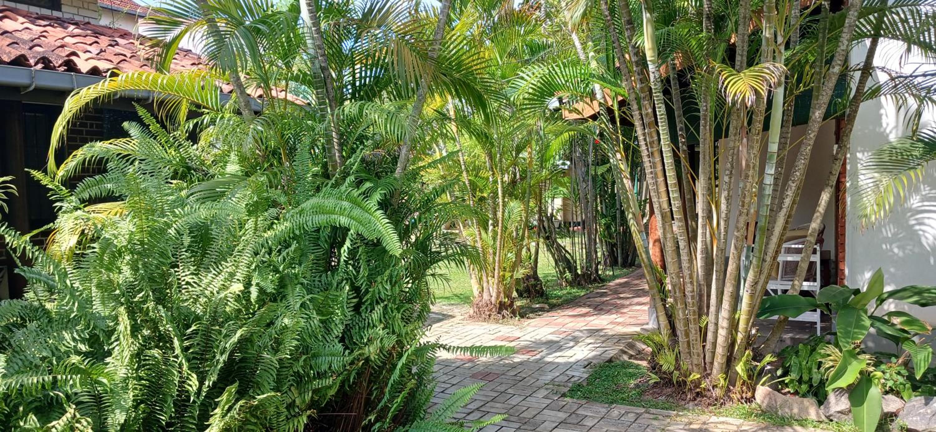Double Room with Garden View photo 3
