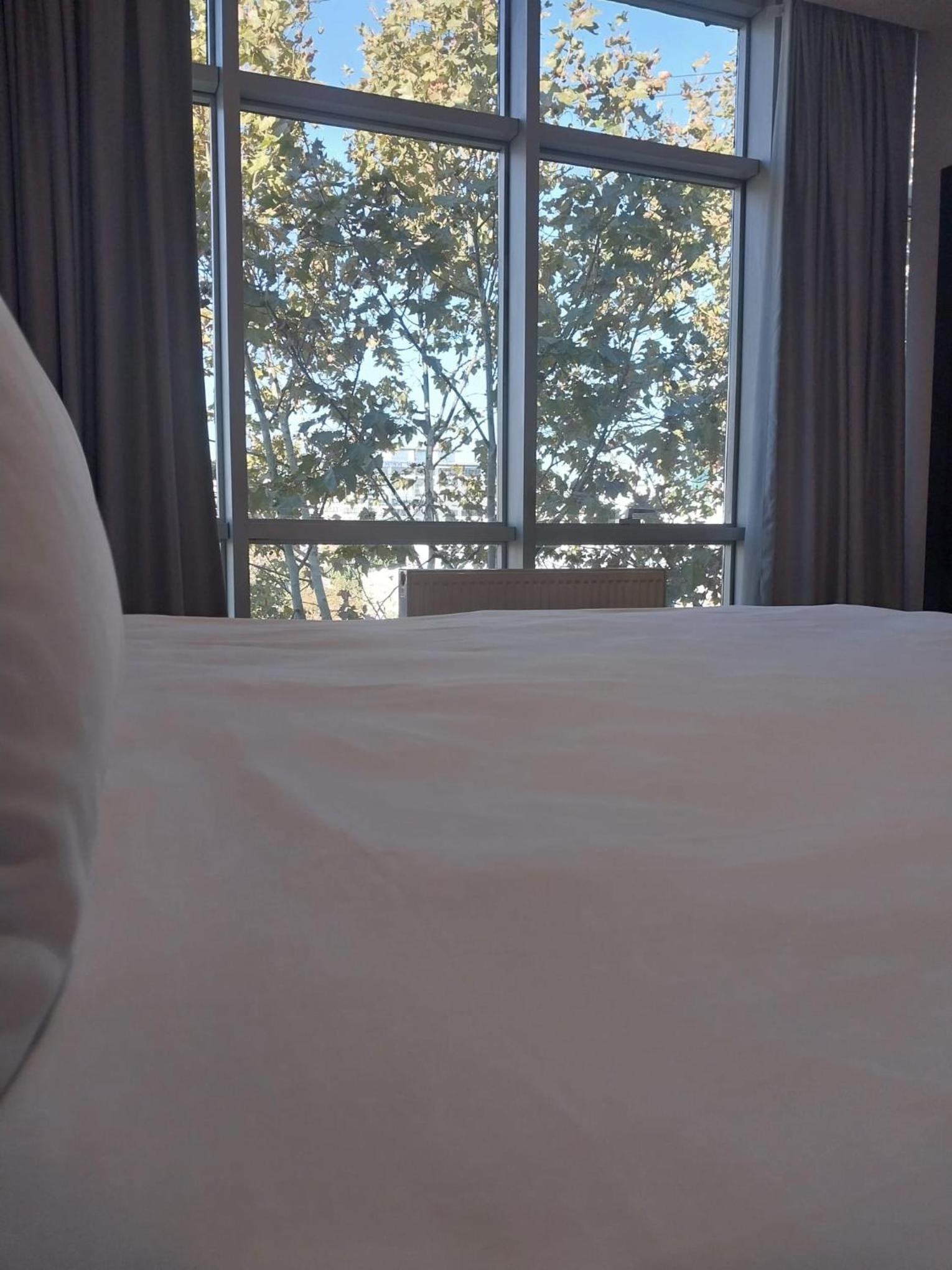 Superior Double Room photo 2